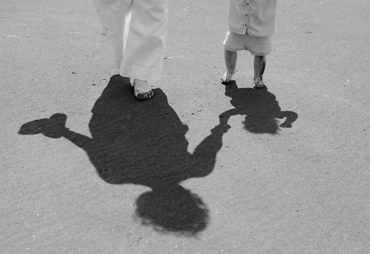Shadows