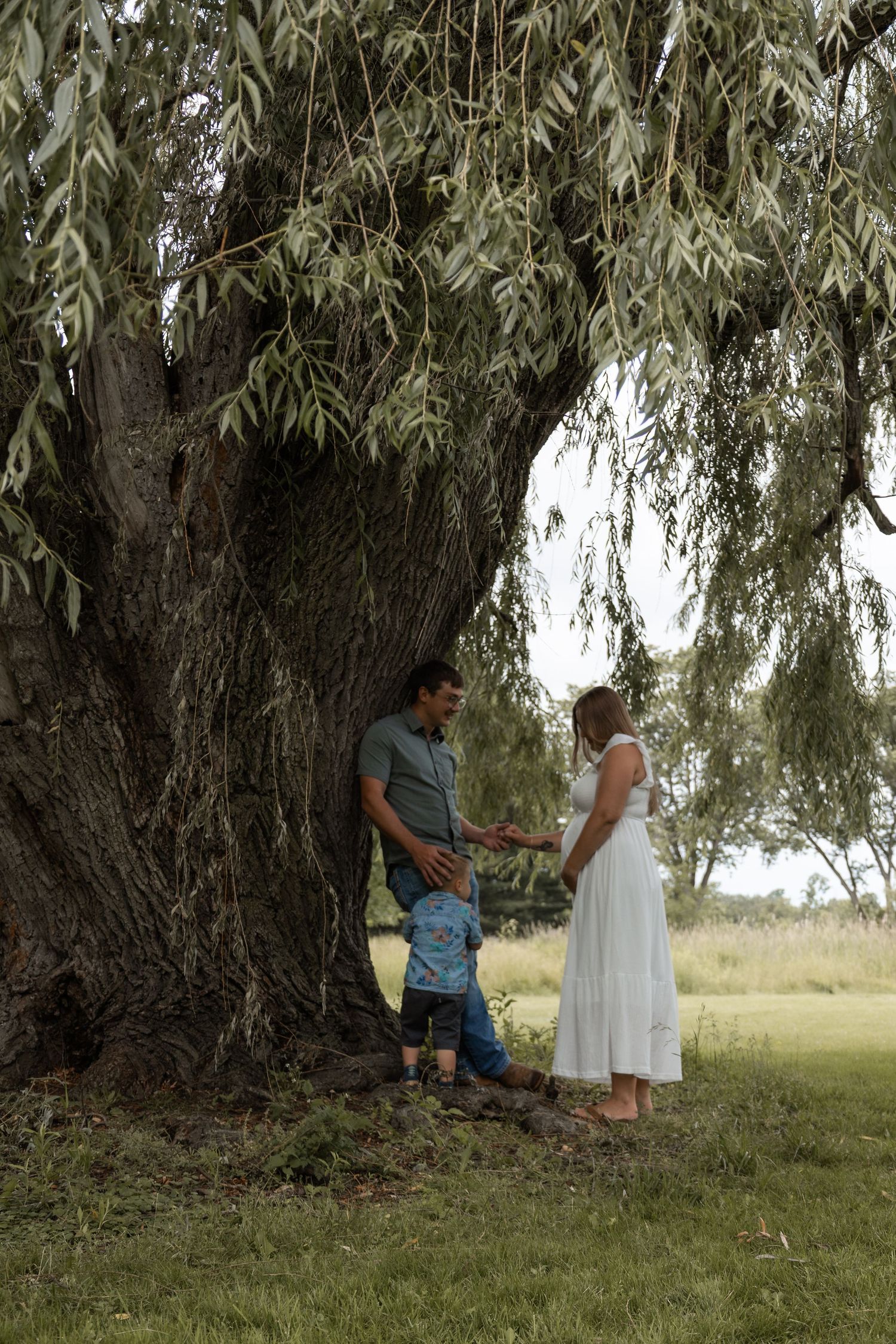 Family of three standing under large willow tree trunk, father and pregnant mother holding hands with toddler.