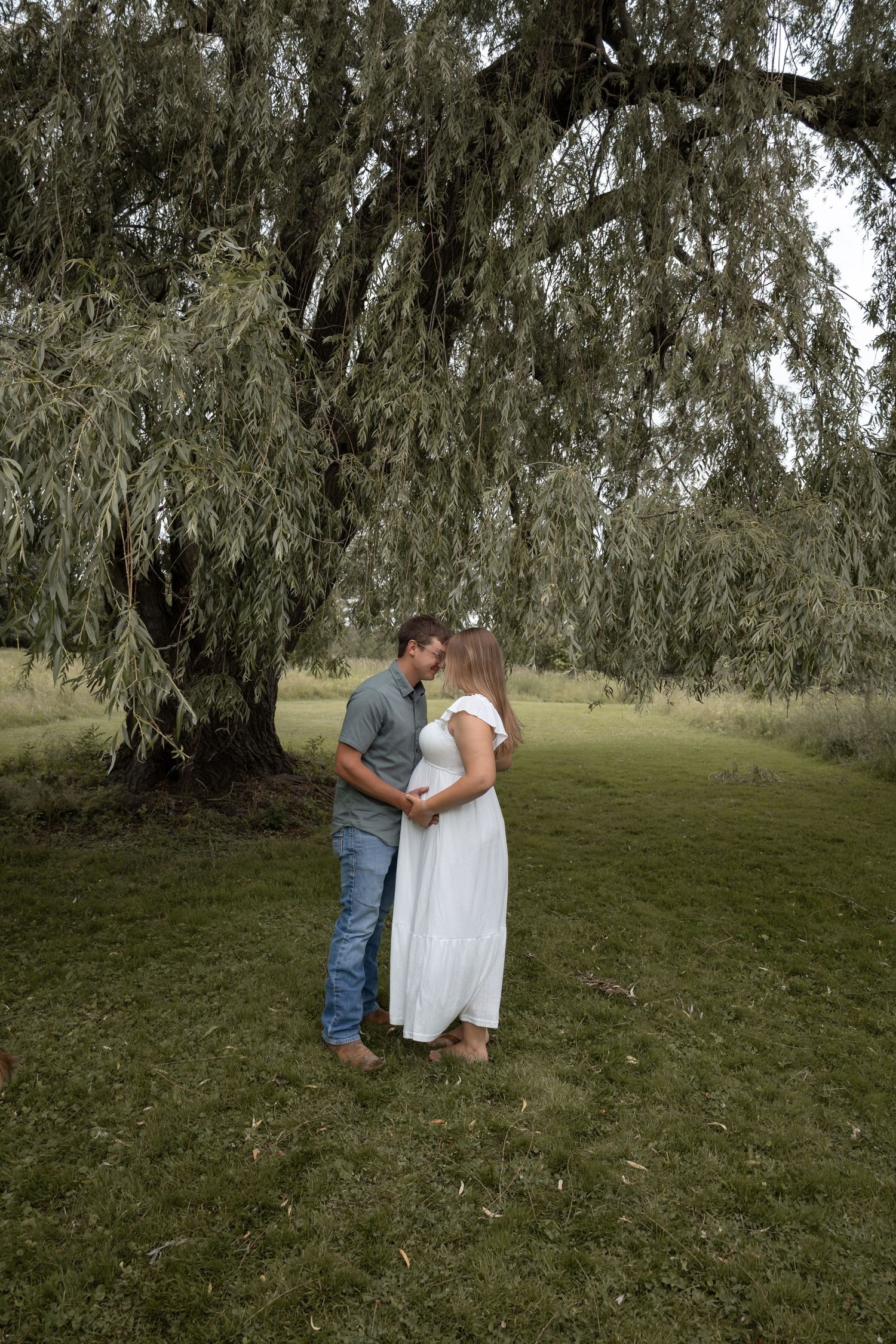Romantic couple stands face to face holding hands under weeping willow tree in lush green field.