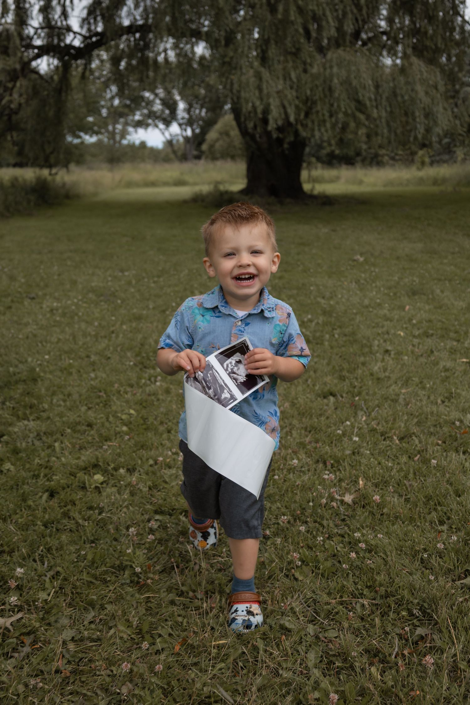 Happy red-haired toddler boy running on grass holding ultrasound photos and paper under a willow tree.