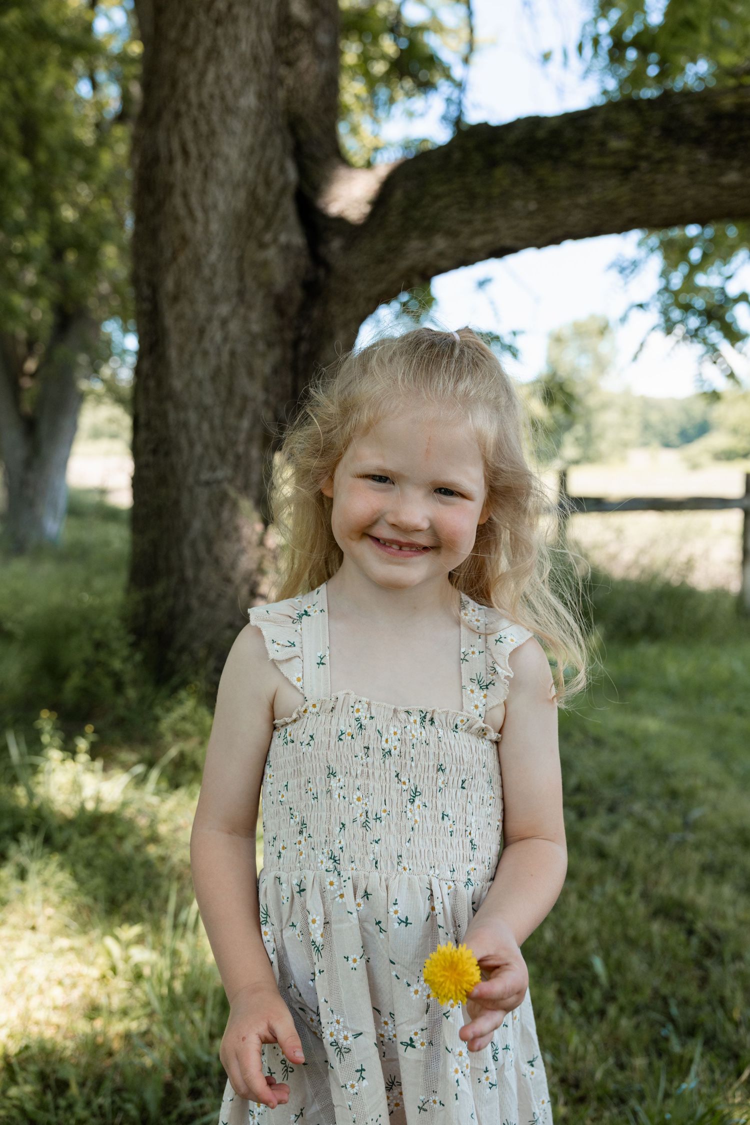 Adorable blonde toddler girl in floral dress holding a yellow dandelion flower outdoors near a tree.