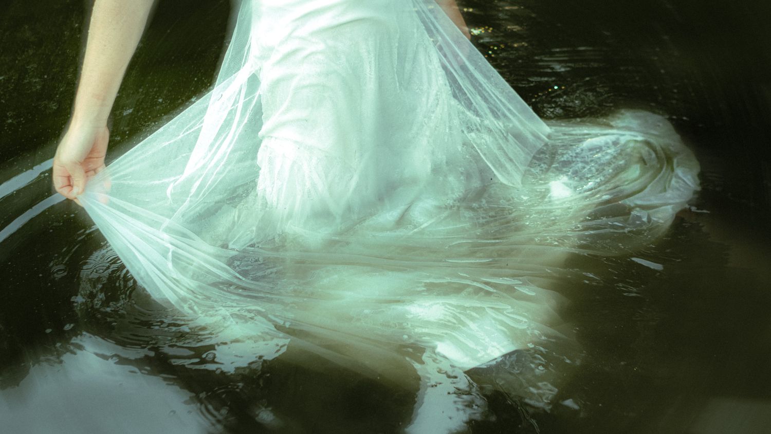 Entre deux eaux – série photographique dans un étang par Louis V.