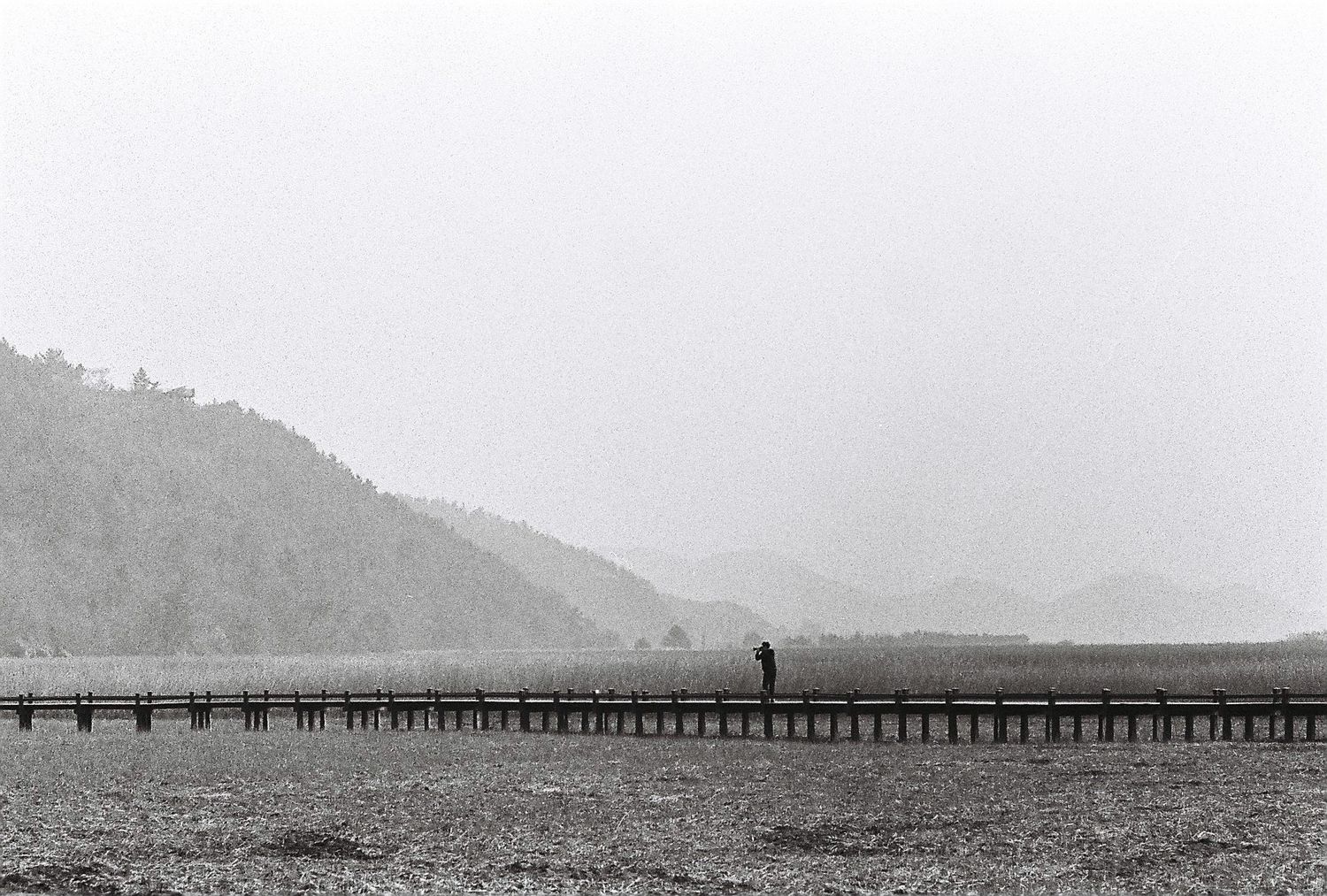 A lone figure walks along a wooden pier stretching into a misty lake with forested hills beyond.