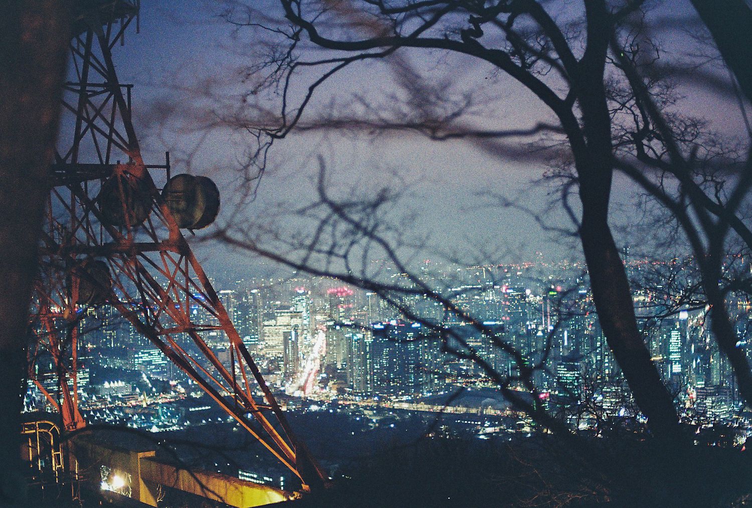 City skyline glows at night viewed through bare tree branches with a red antenna tower in foreground. The view of Seoul Tower.