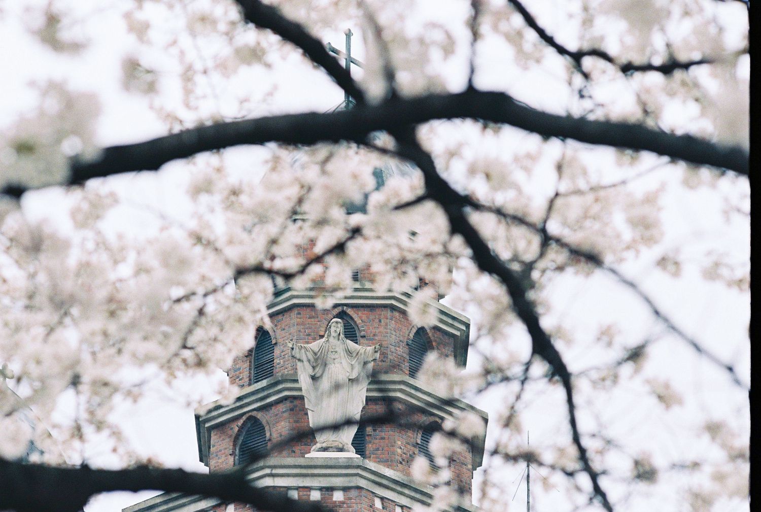 A stone religious statue atop a brick tower framed by blooming cherry blossom tree branches.