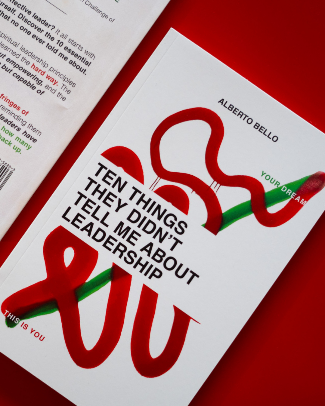 Promotional book mockup for 10 Things They Didn't Tell Me About Leadership, designed by Arketype Studio