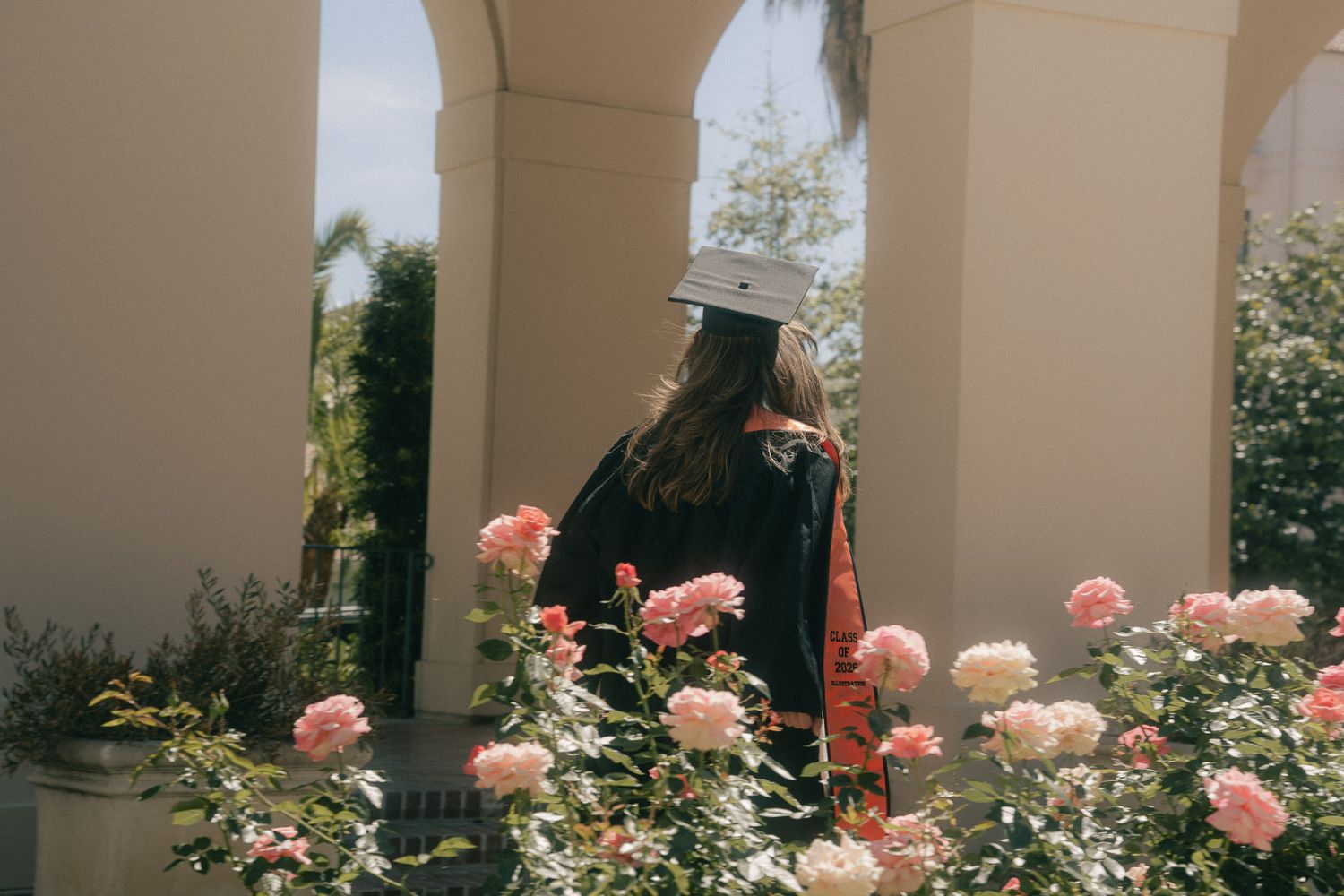 Pasadena City Hall Graduation Photoshoot with rose blooming