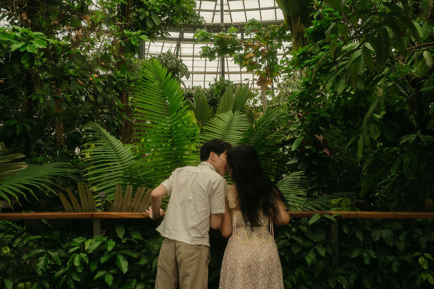Couple walking through greenhouse surrounded by tropical plants at The Huntington Library Los Angeles.