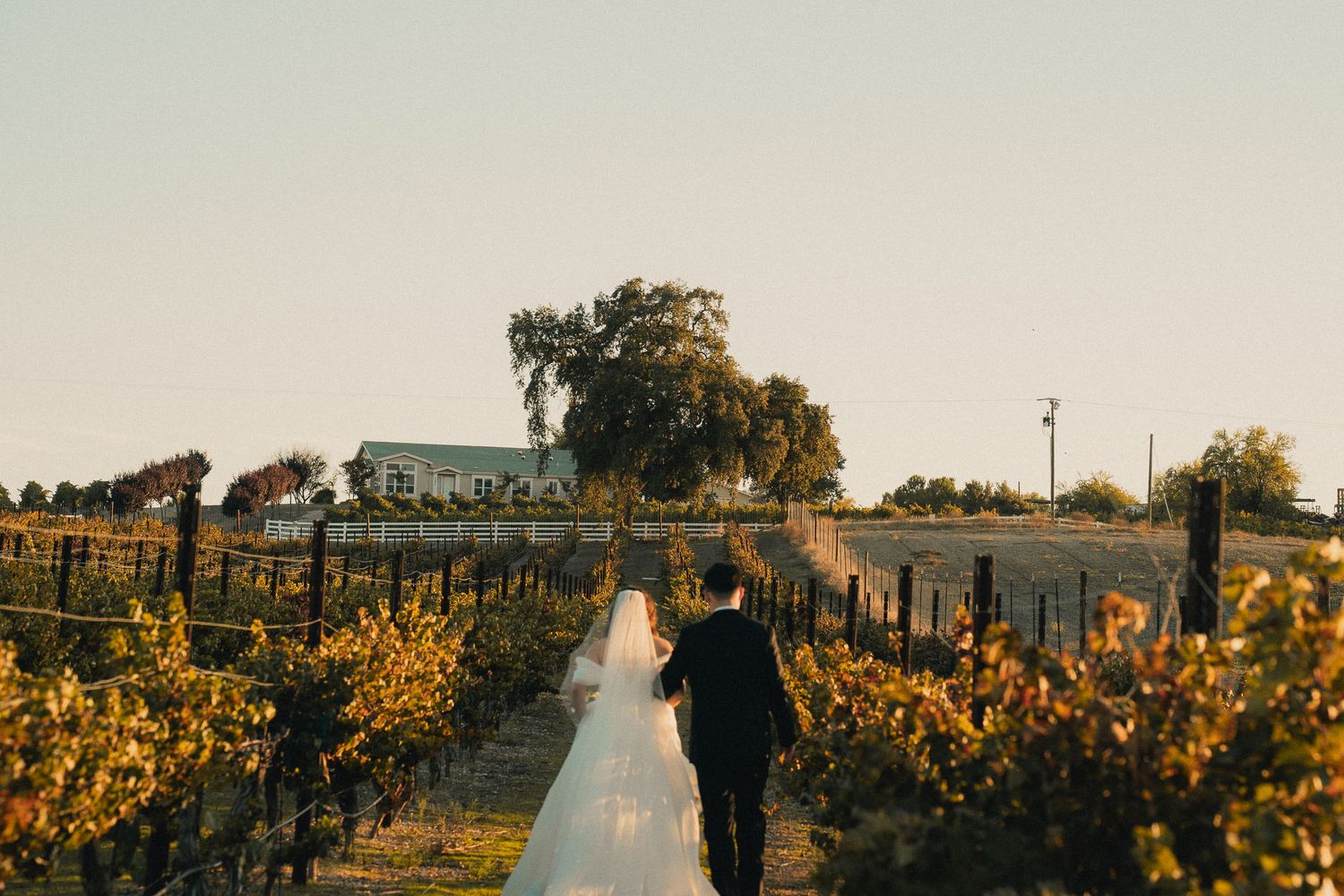 Los Angeles Vineyard Wedding Photography in Golden Hour