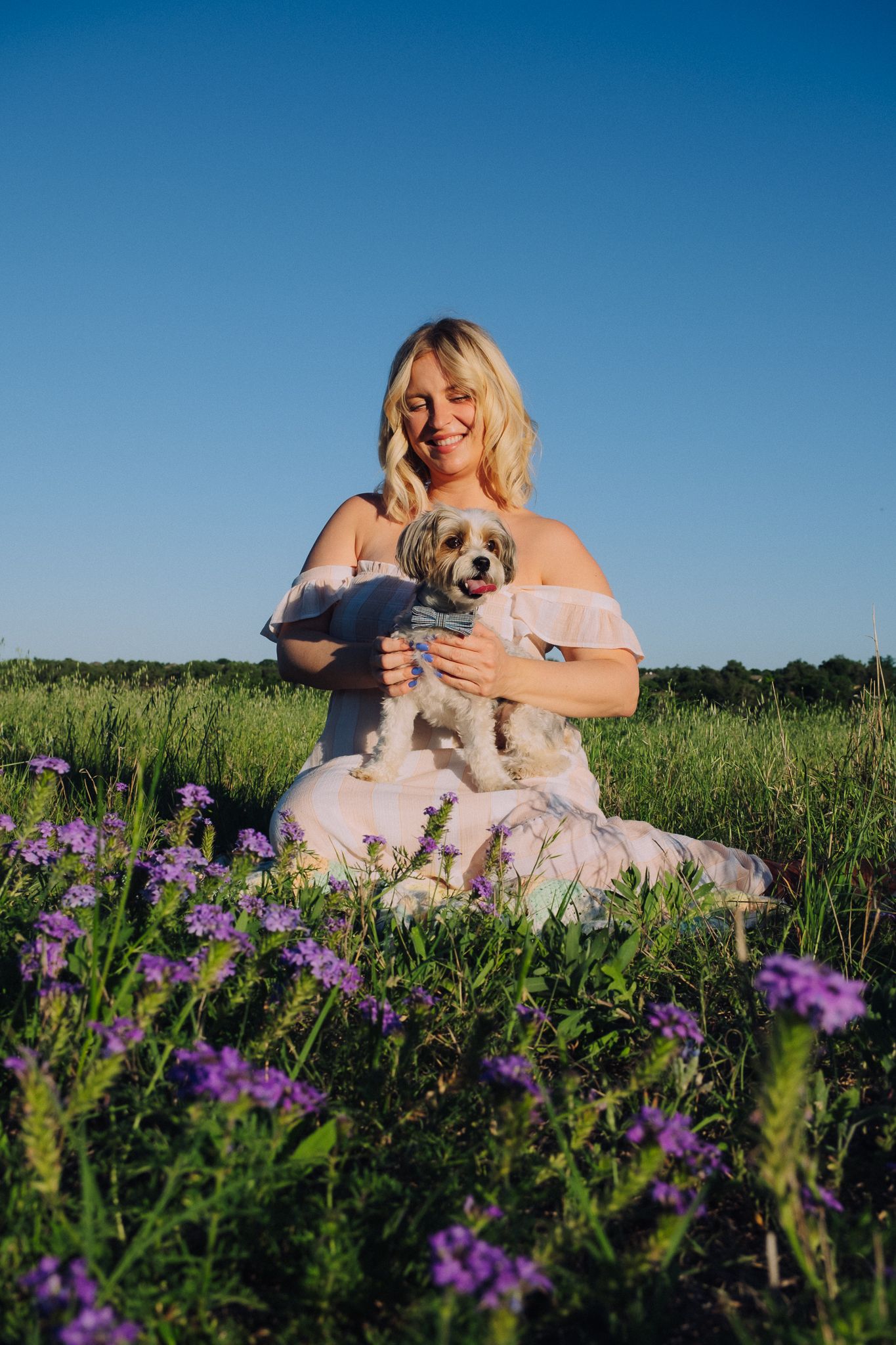 A sunny outdoor photoshoot in a field of purple wildflowers with a small fluffy dog and a pink floral dress.