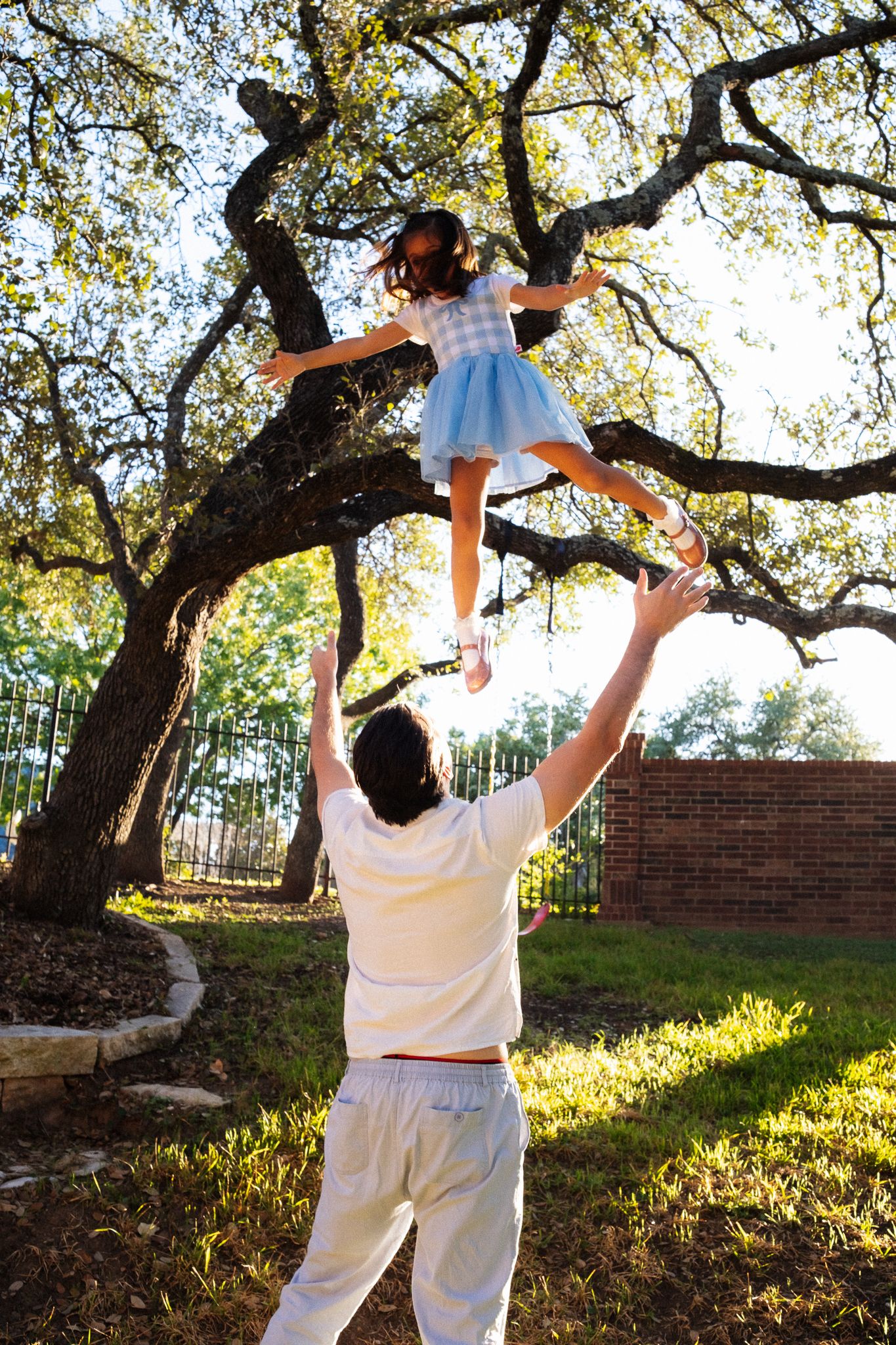 A sequence showing a child in white clothing climbing a large oak tree branch in a backyard setting during golden hour.