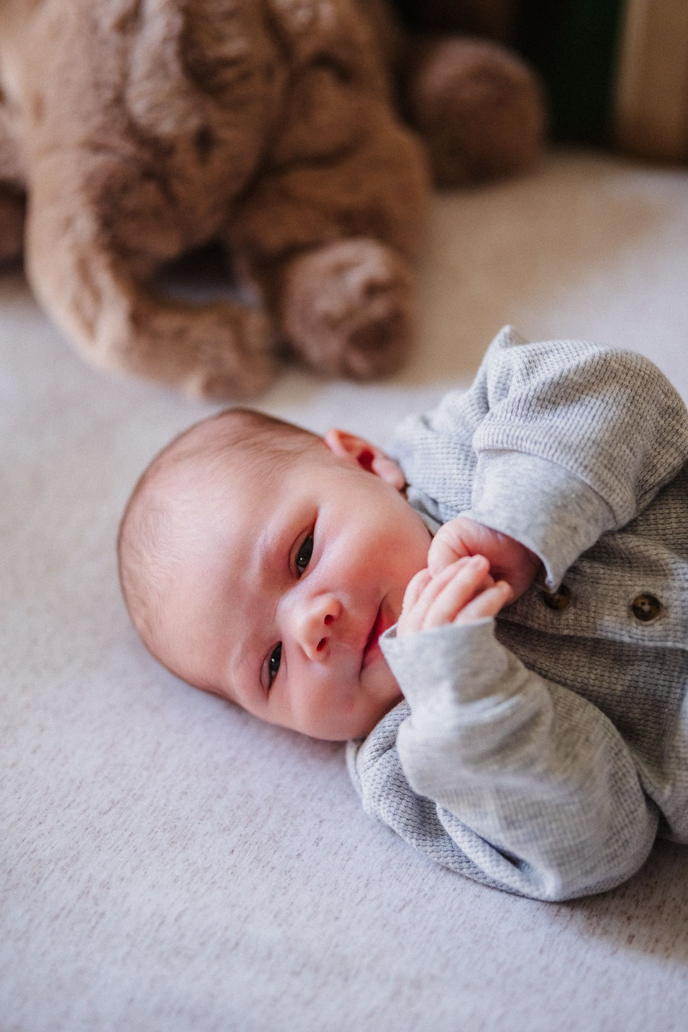 A small infant in a gray sweater lying on a light colored surface with a stuffed toy visible in the background.
