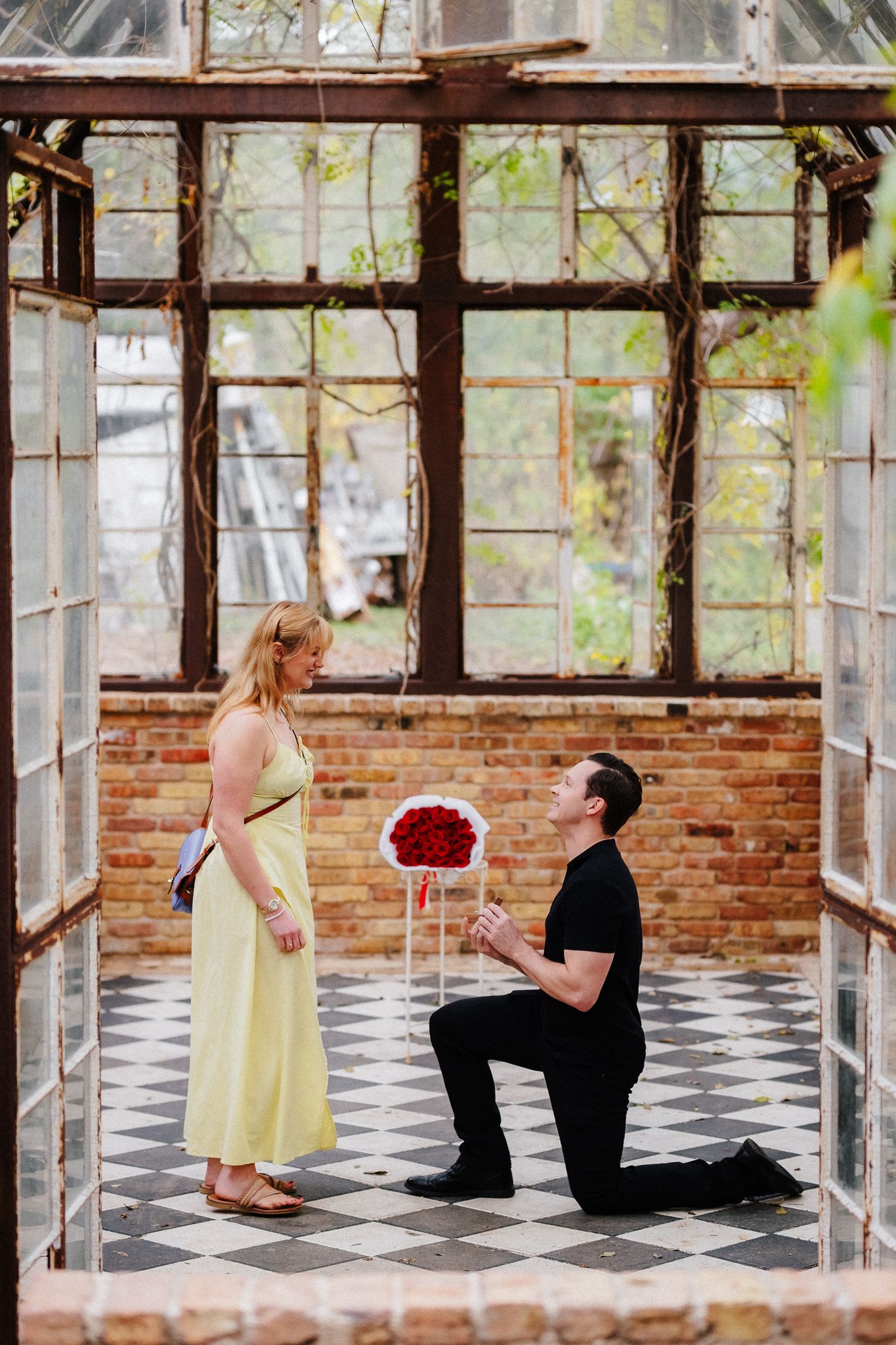 Man proposes on one knee to woman in yellow dress inside rustic greenhouse with red roses bouquet.