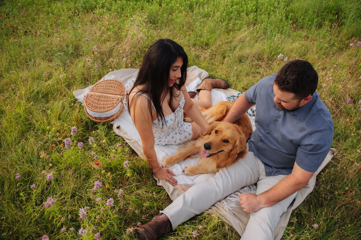 A couple and their golden retriever share a tender moment during a picnic in a wildflower meadow.