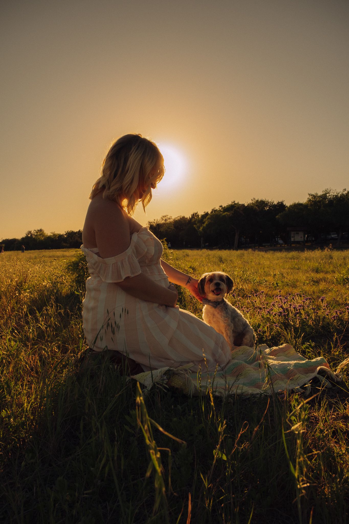 A person in a white dress sits with a dog in a golden field at sunset, creating a dreamy silhouette against the sky.