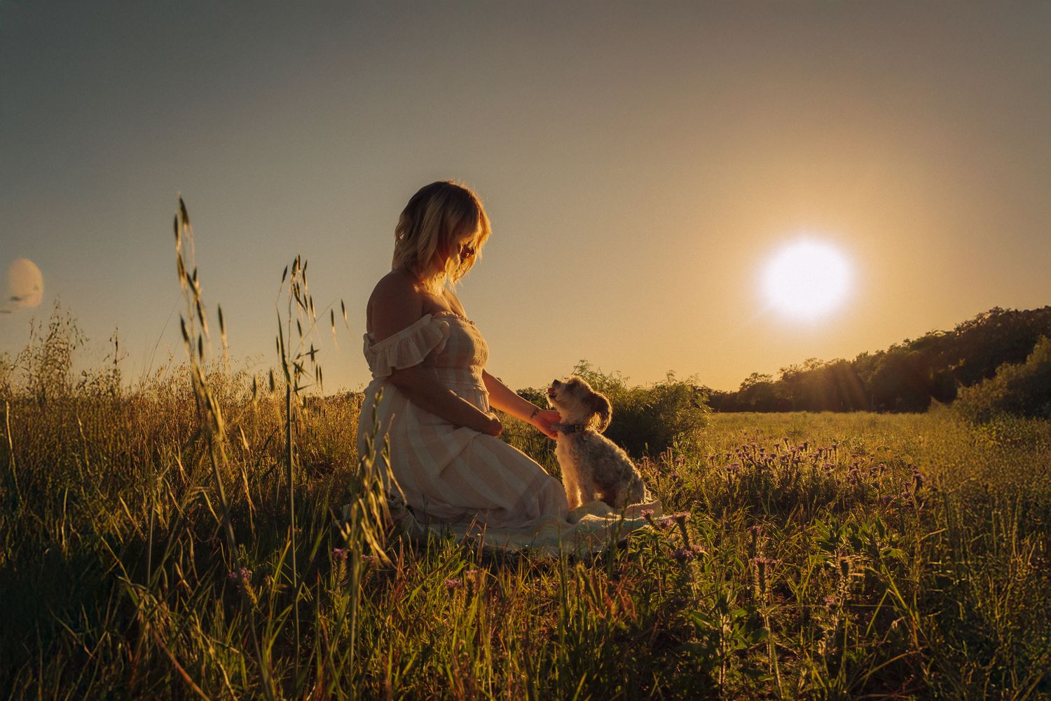 A silhouette sits with a dog in a sunlit meadow during golden hour as the sun sets behind rolling hills.
