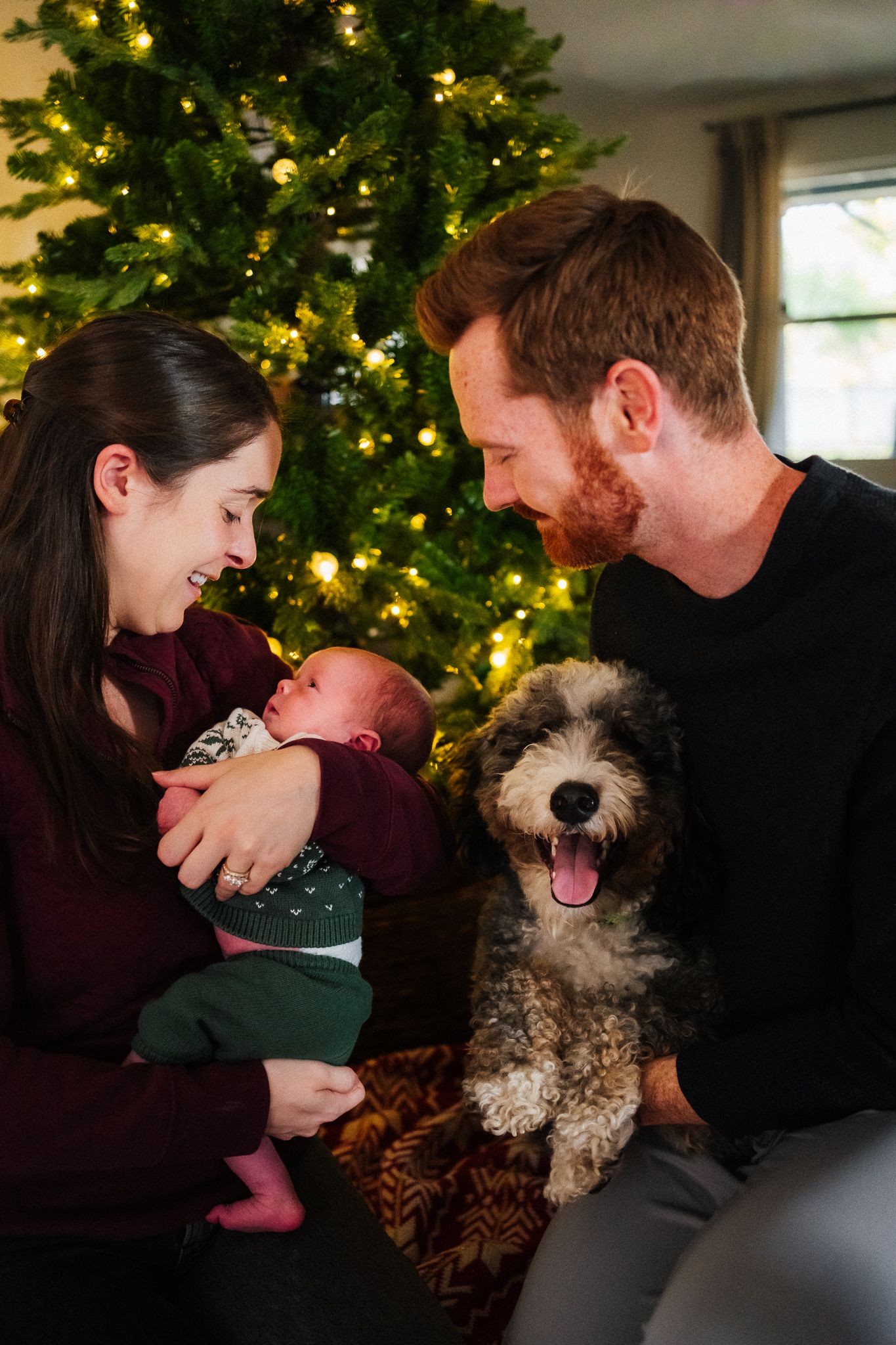 Family shares tender moments with their fluffy dog in front of a decorated Christmas tree.