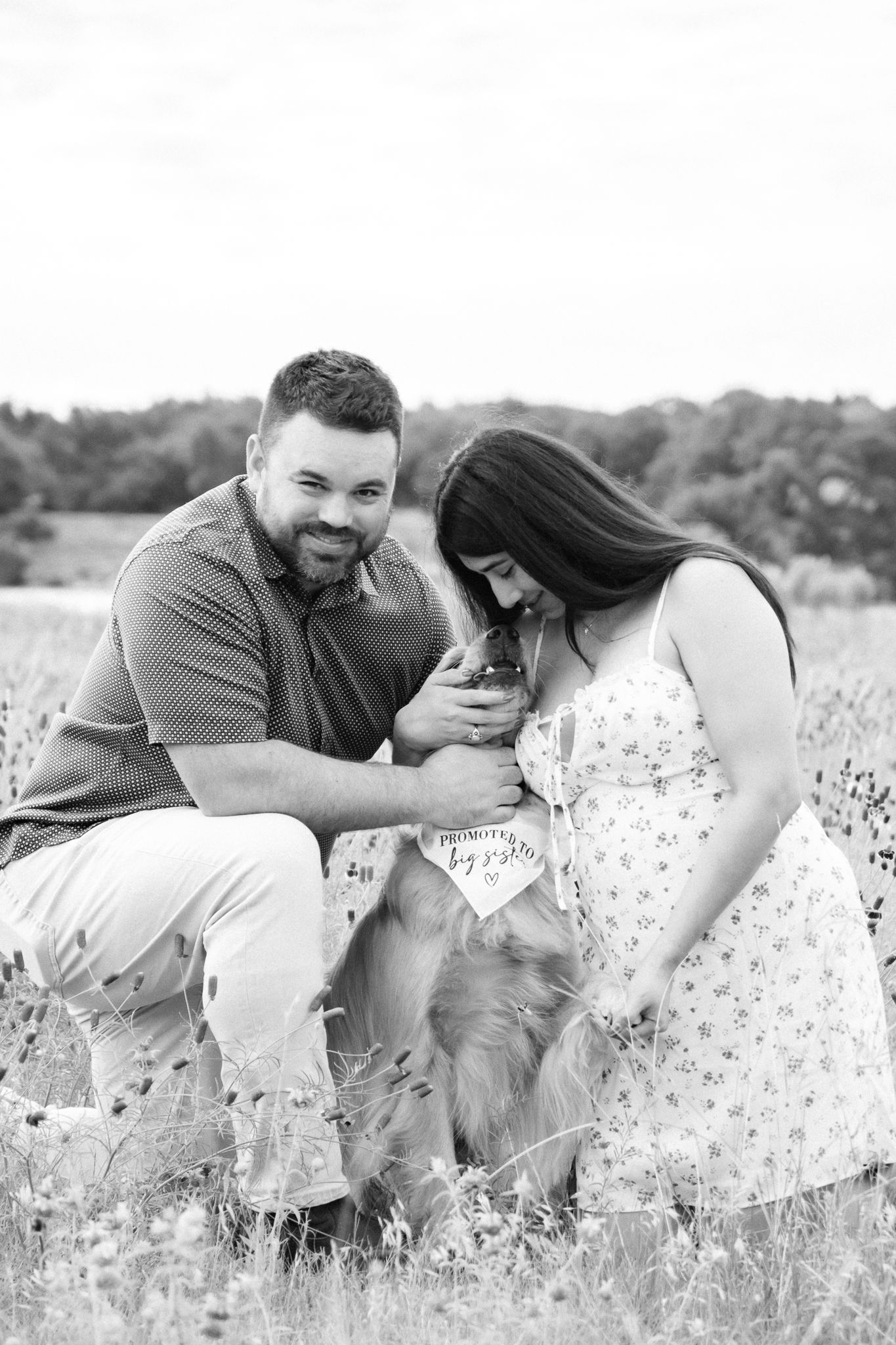 Couple pets their Golden Retriever while sitting together in flowering field for pregnancy announcement photos.
