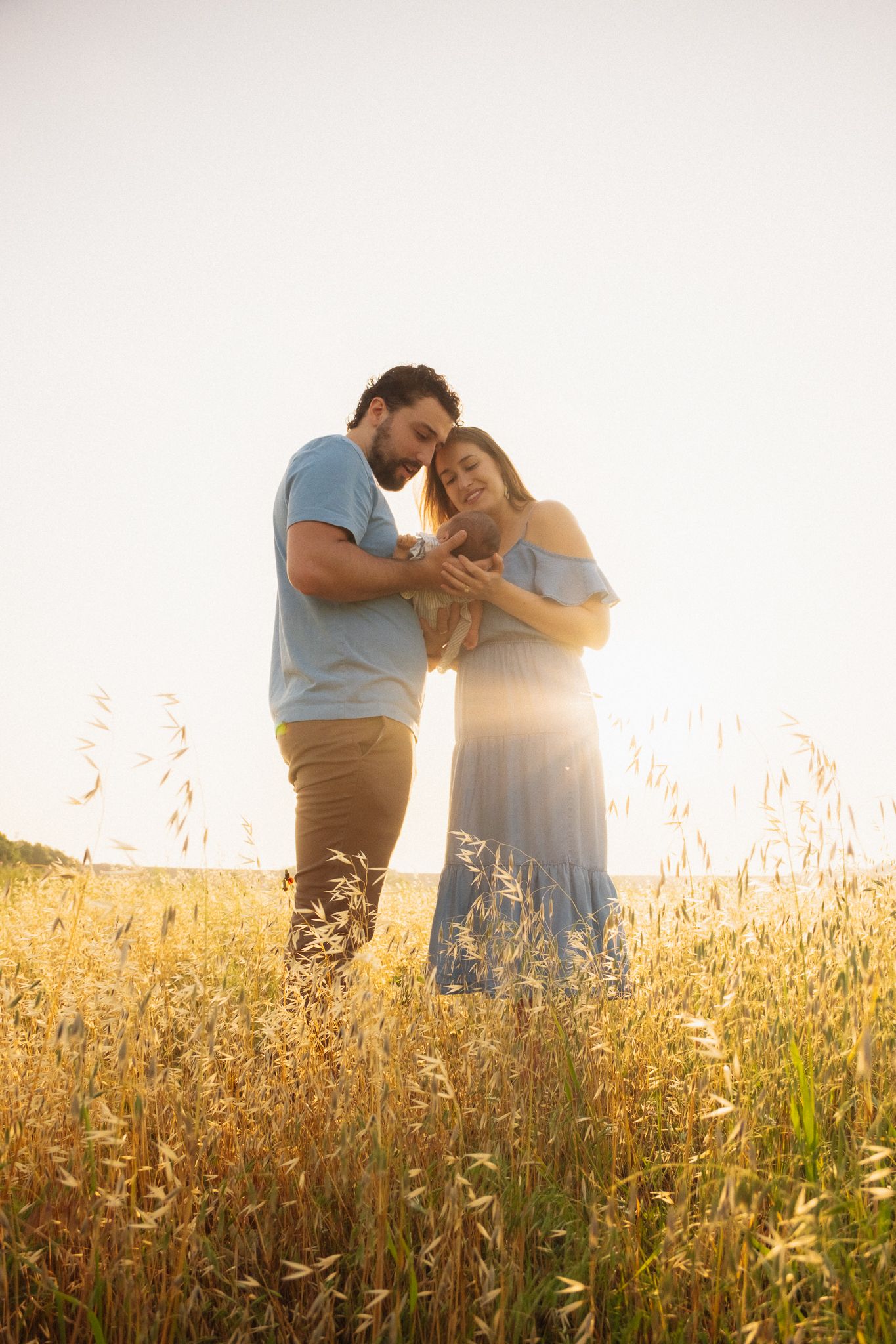 A couple shares an intimate moment together in a sun-lit golden field of tall grass at sunset.