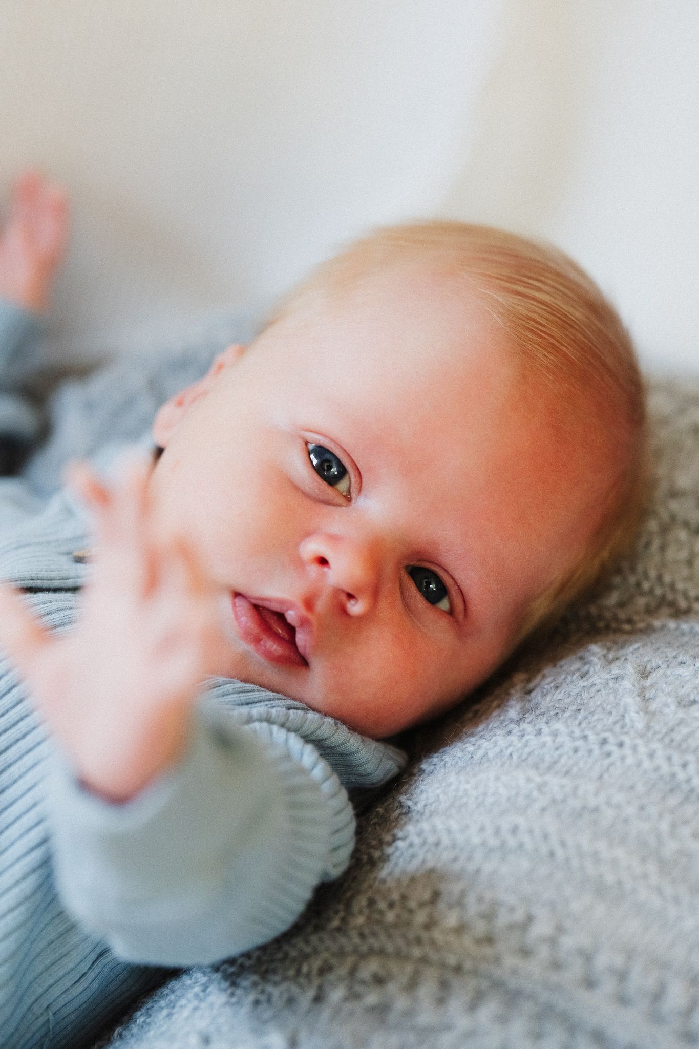 Close-up series of a newborn baby lying on soft gray knit fabric in natural light.