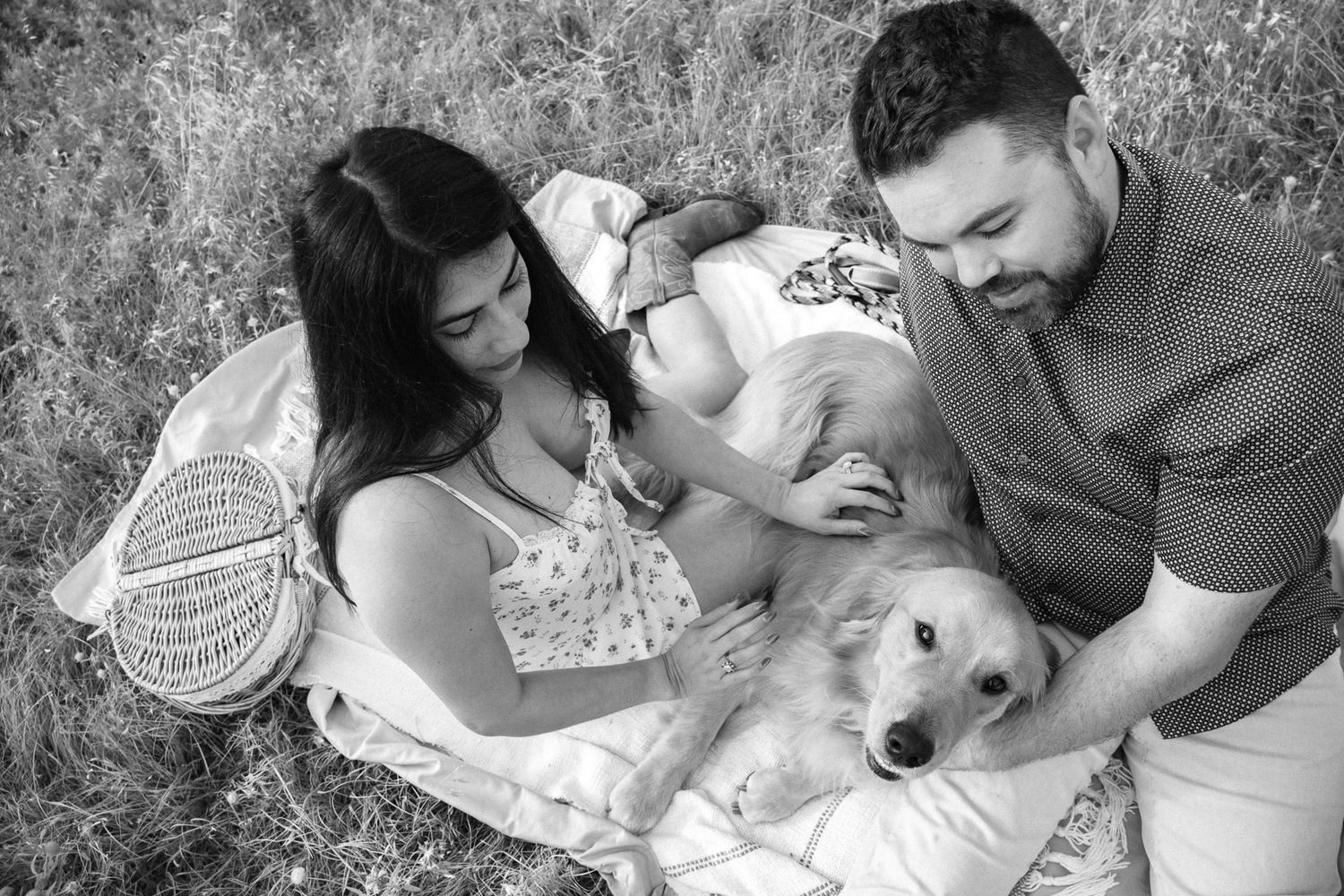A couple sits on a picnic blanket with a golden retriever in a black and white outdoor photoshoot.