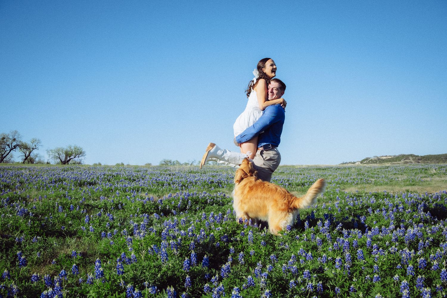 Couple embracing in a field of bluebonnets with a golden retriever under a clear blue sky.