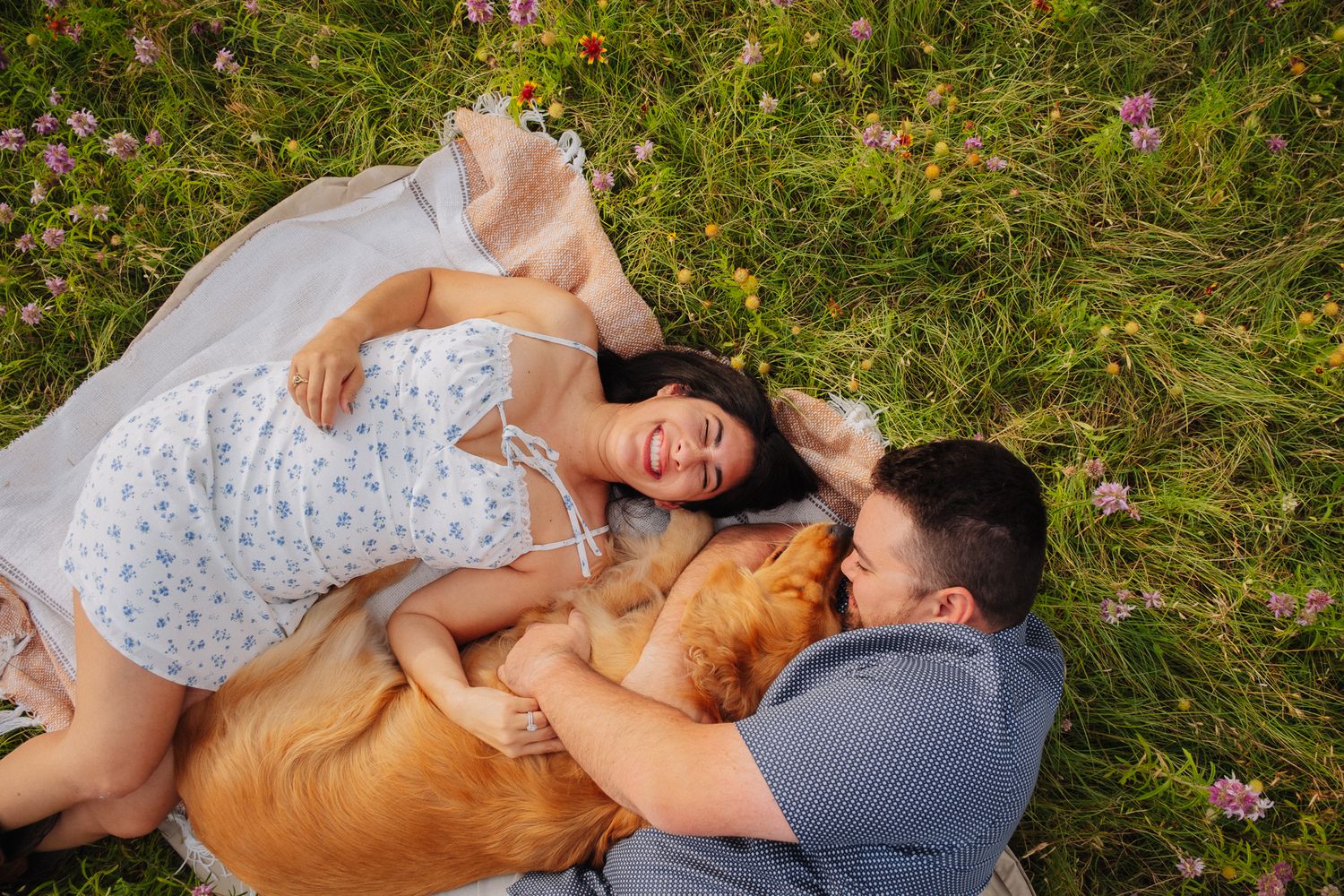 A couple laying in a grassy meadow with their golden retriever dog surrounded by wildflowers.