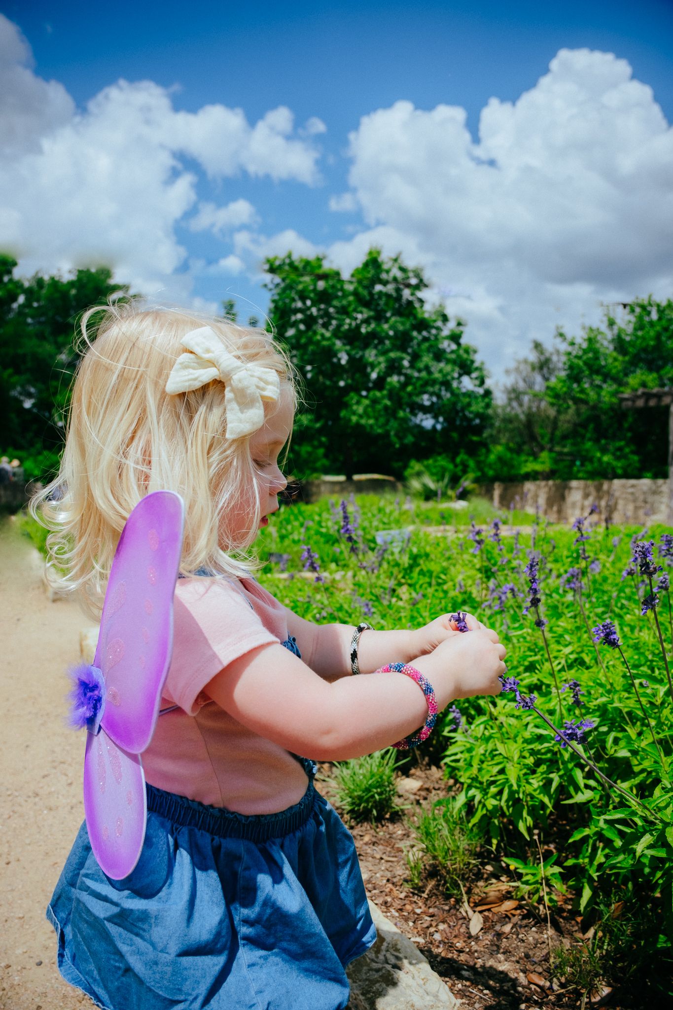 A child wearing fairy wings and denim explores a colorful garden filled with blooming purple lupine flowers on a sunny day.