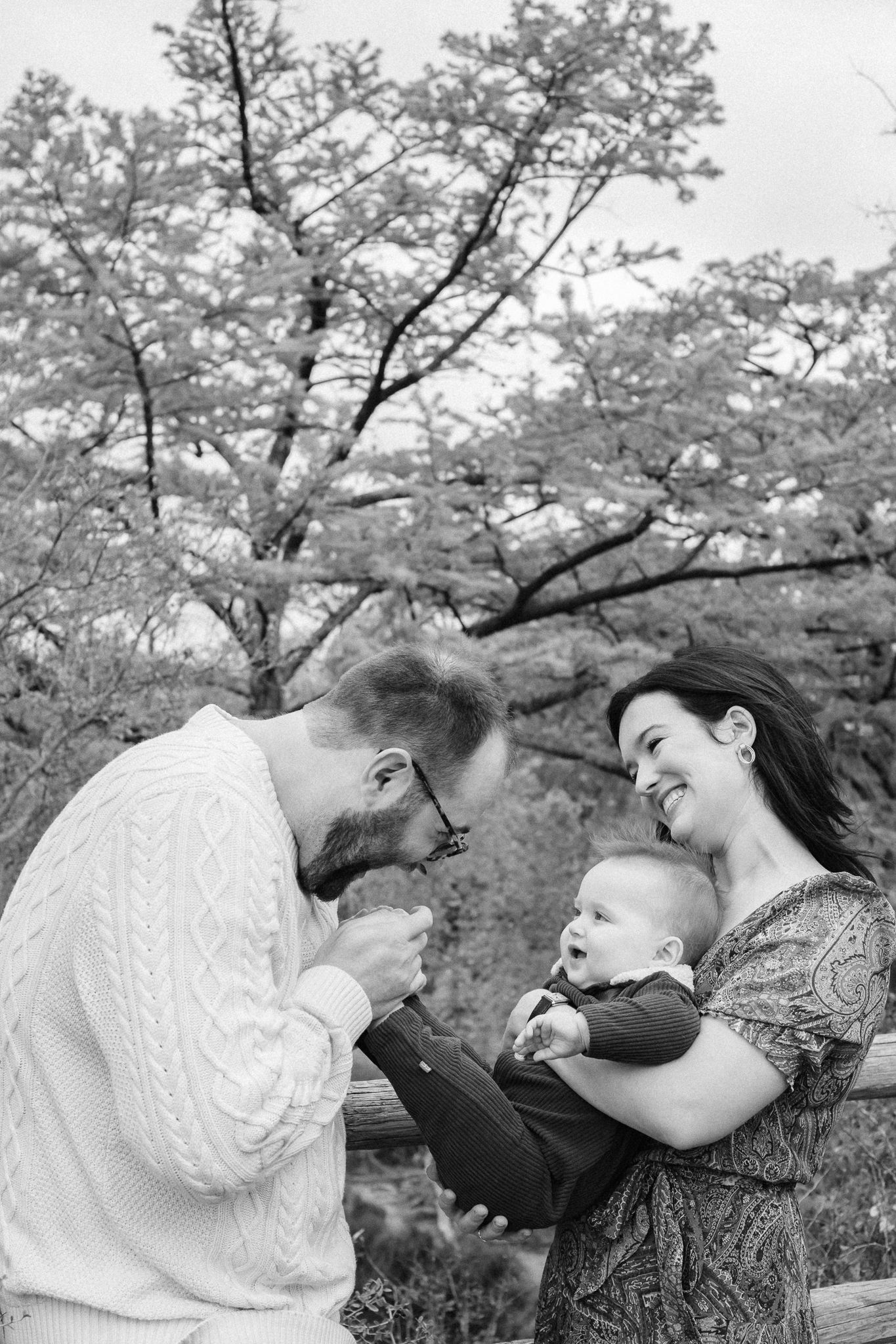 A collection of intimate family portraits showing joyful interactions under blooming cherry blossom trees.