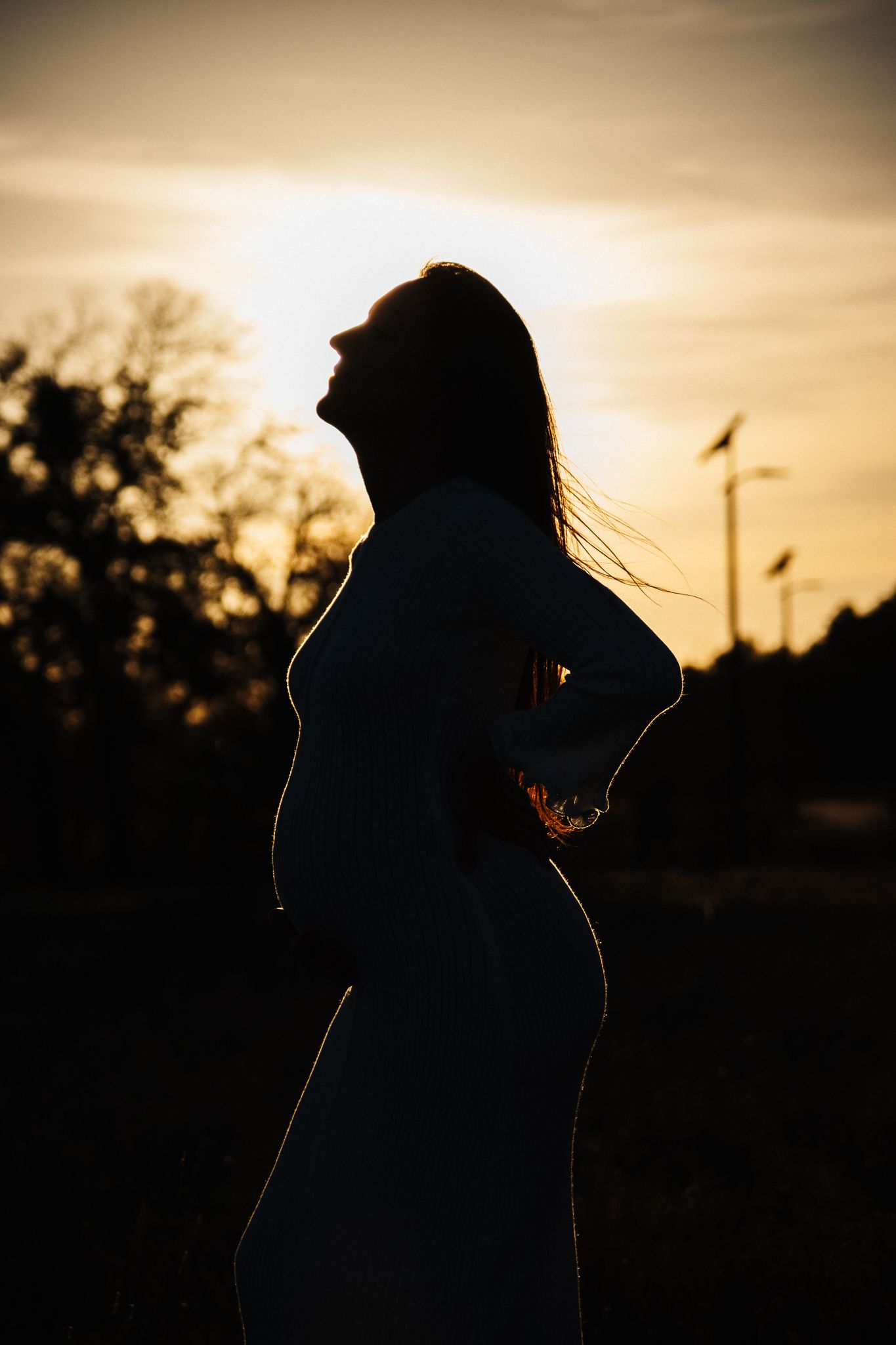 Dramatic silhouette of pregnant woman against sunset sky with hair flowing in breeze.