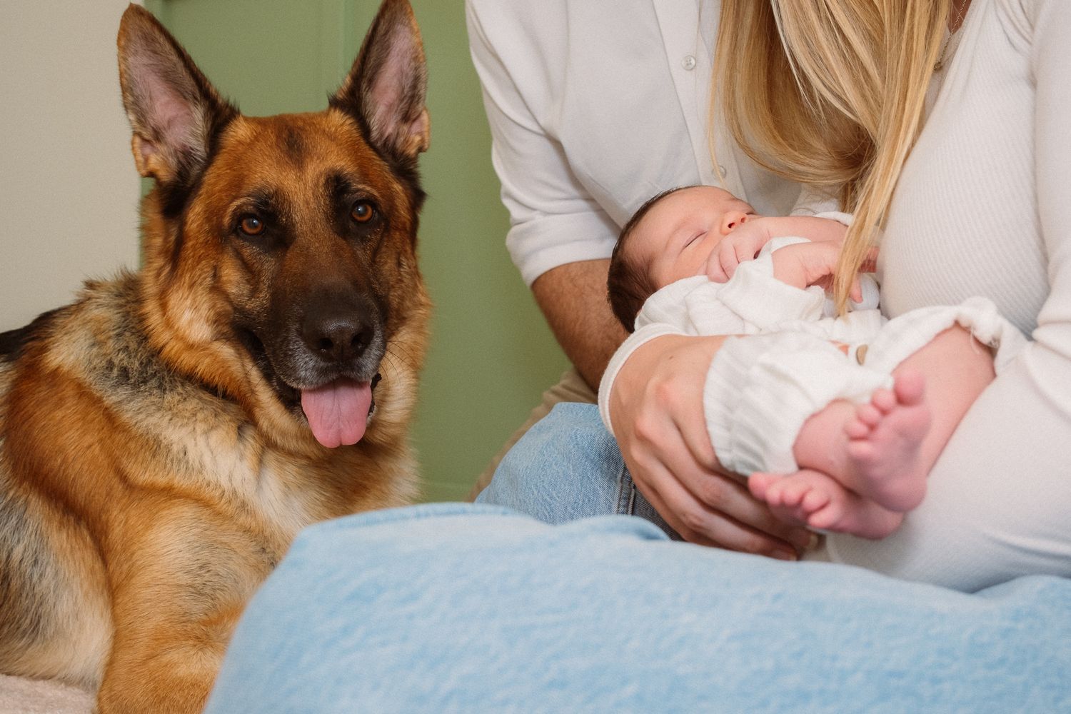 German Shepherd dog sits attentively next to someone holding a newborn baby in white clothing.