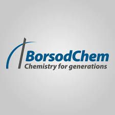 BorsodChem corporate logo featuring blue text and company slogan on light gray background.