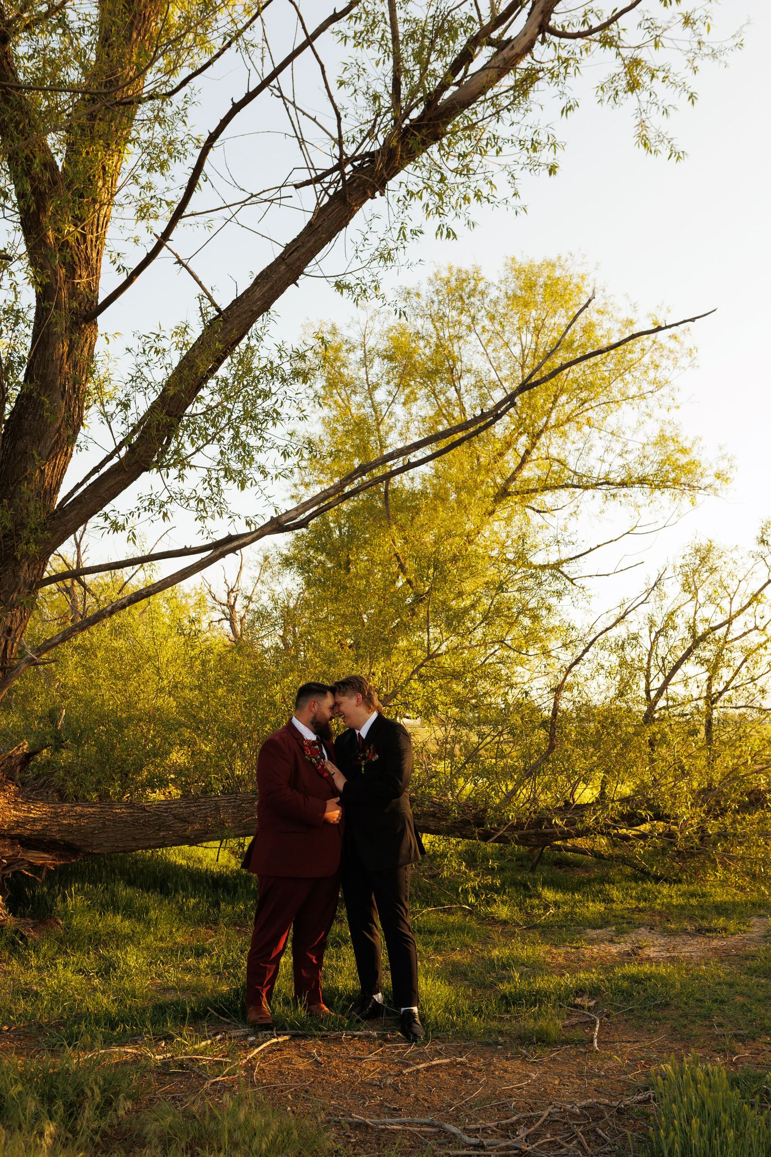 A couple in formal attire embraces under autumn trees during golden hour in a natural outdoor setting.