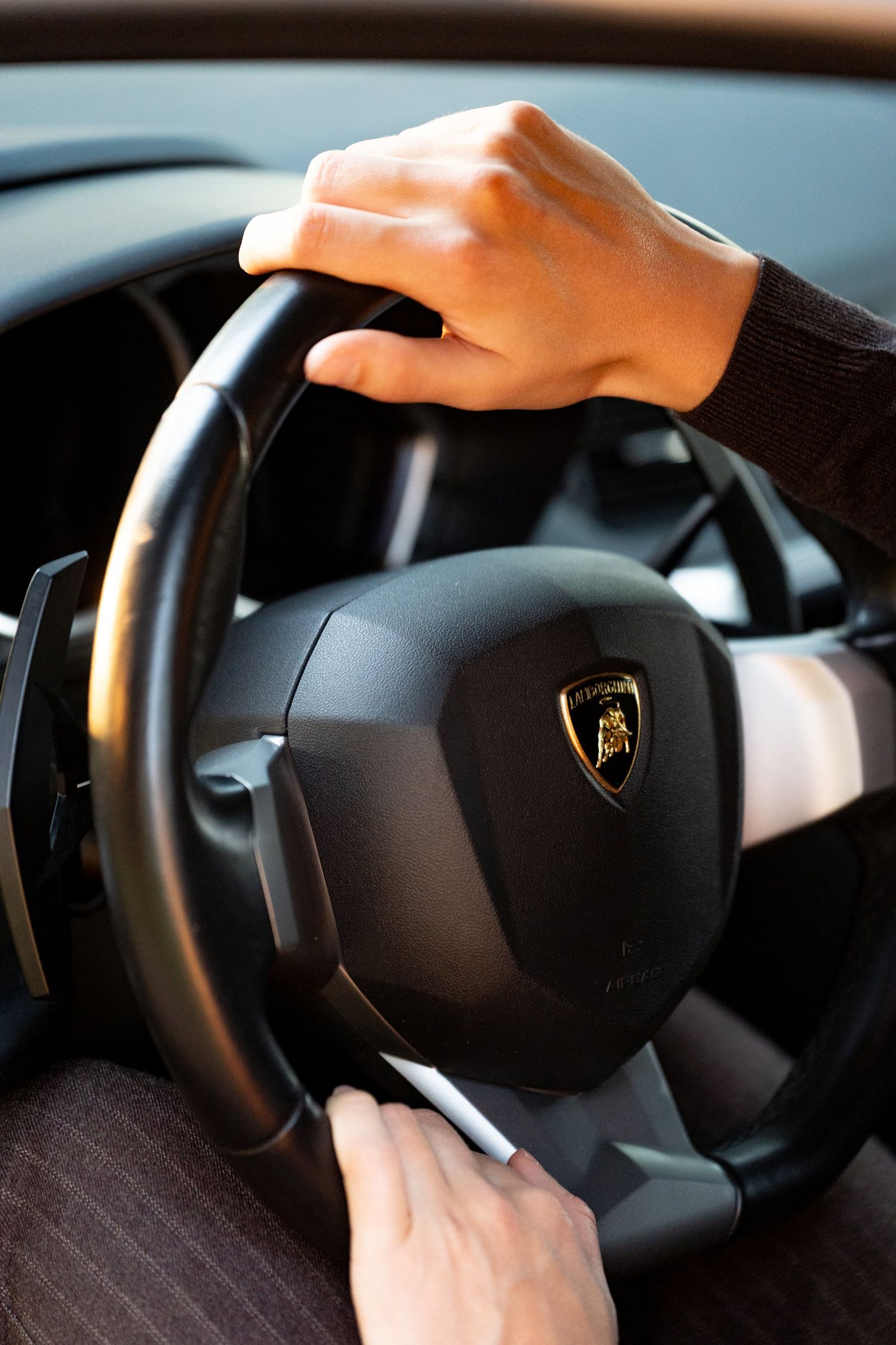 Close-up of hands gripping a Lamborghini steering wheel showing the iconic raging bull logo.