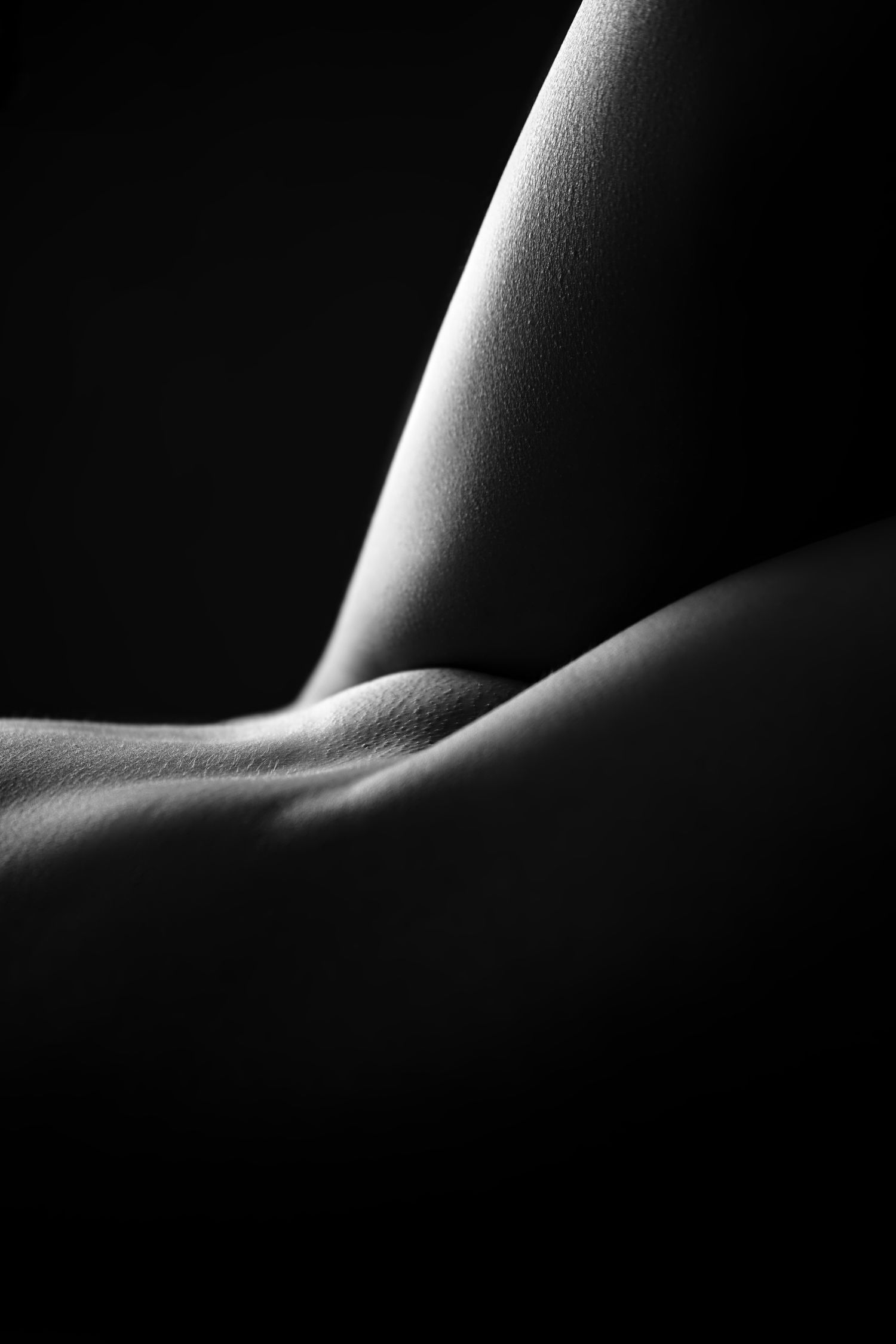 Artistic black and white close-up bodyscape photograph highlighting curves and skin texture with dramatic lighting.