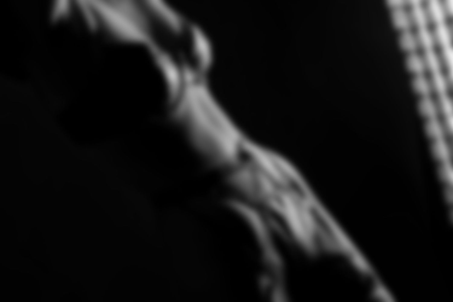 Close-up black and white abstract photograph of a muscular arm with dramatic shadowing.
