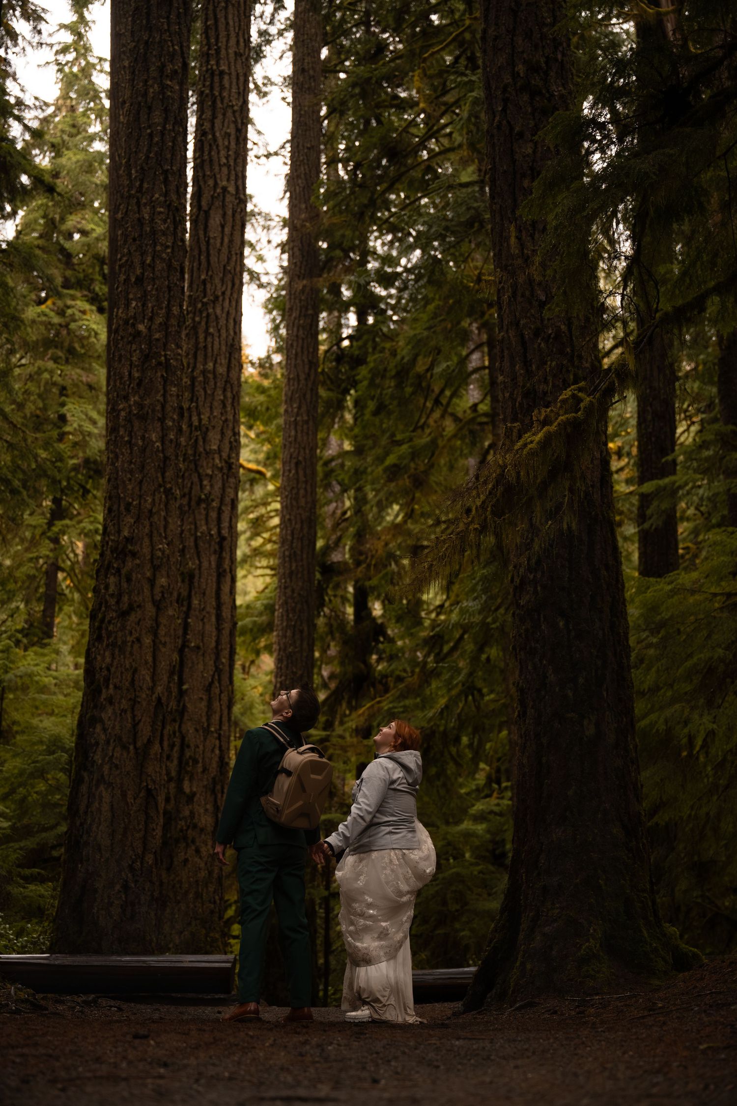 A queer couple gazes up at towering trees in a rainforest in Olympic National Park.