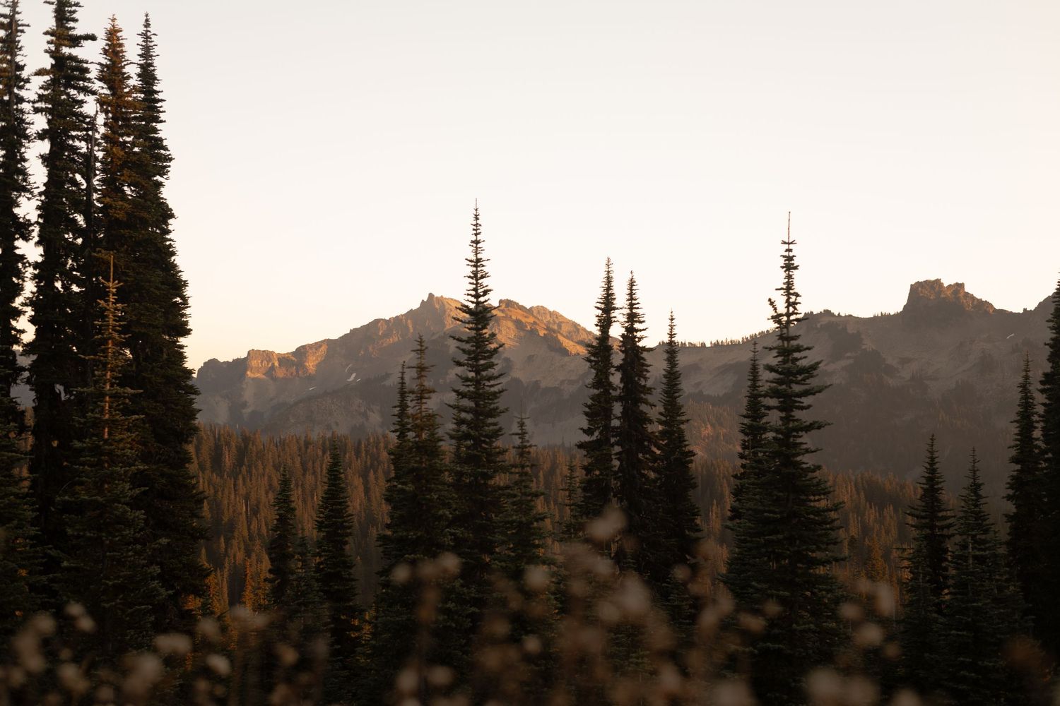 The sunsets over a ridge of mountains with pine trees.