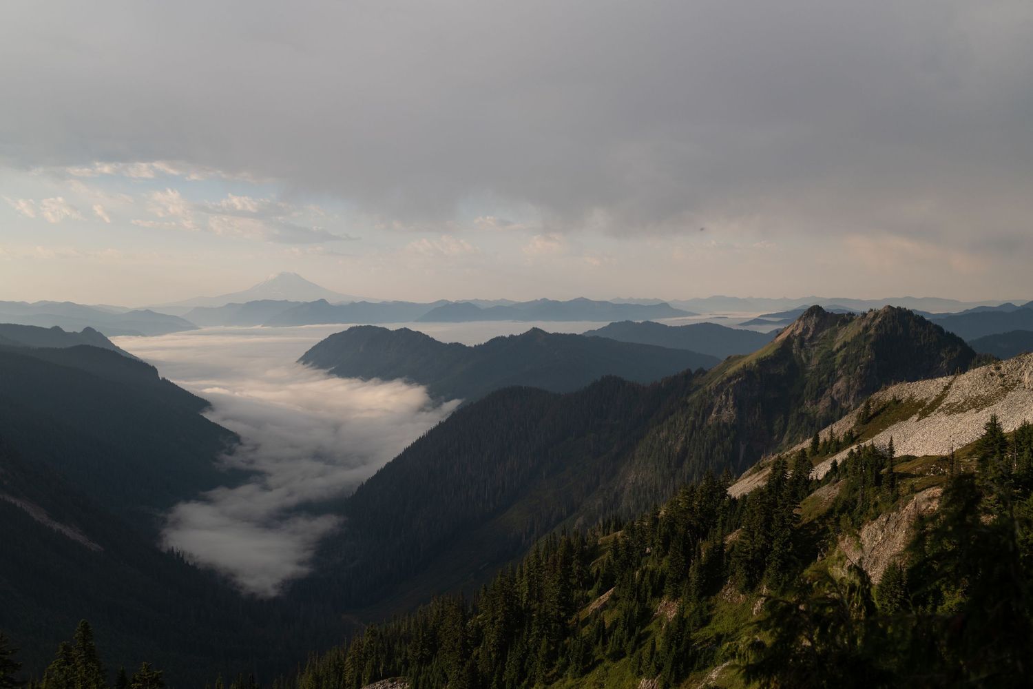 Fog rolls through a valley in Mount Rainier National Park.