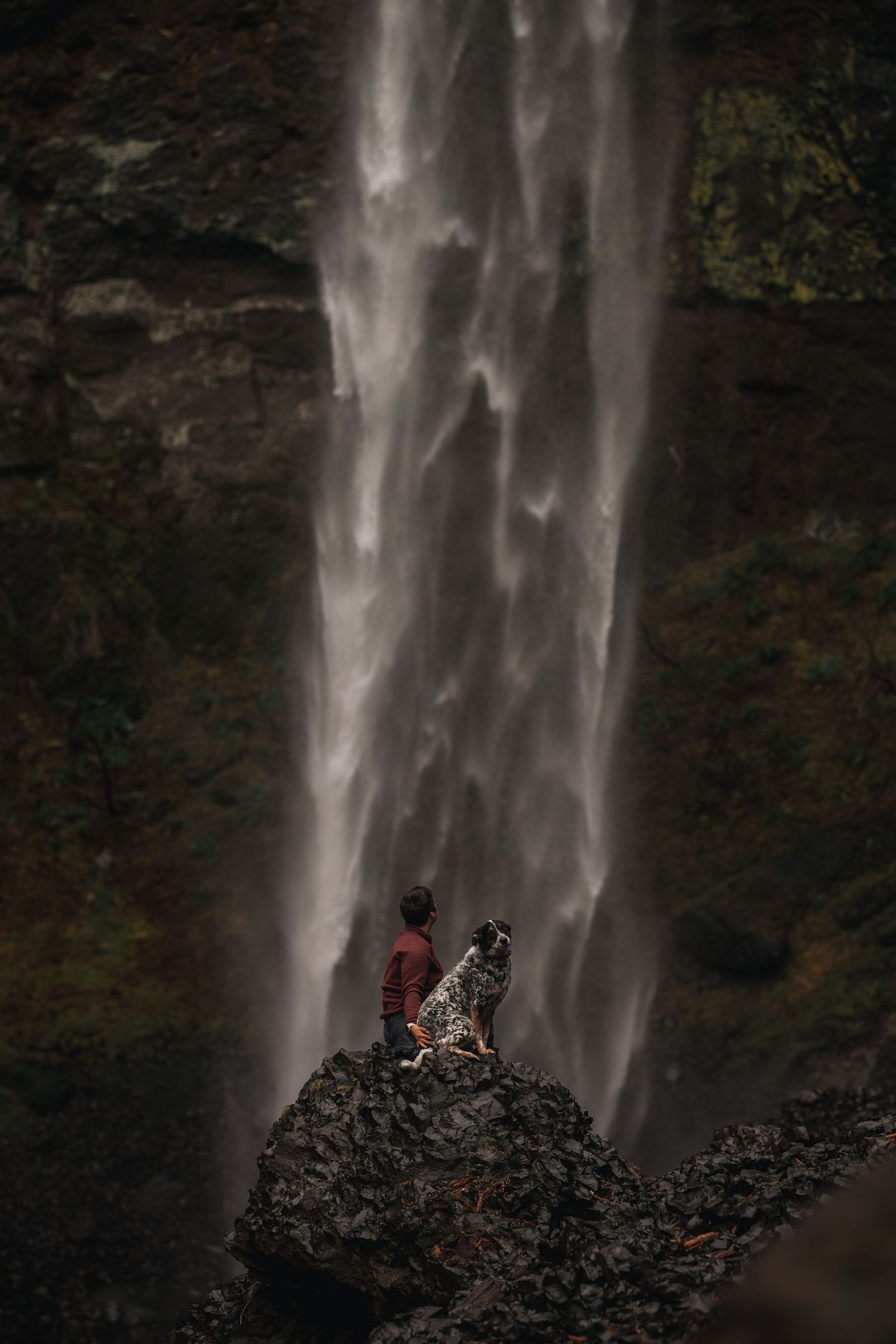 A young woman sits with her dog and watches a waterfall in the Pacific Northwest.