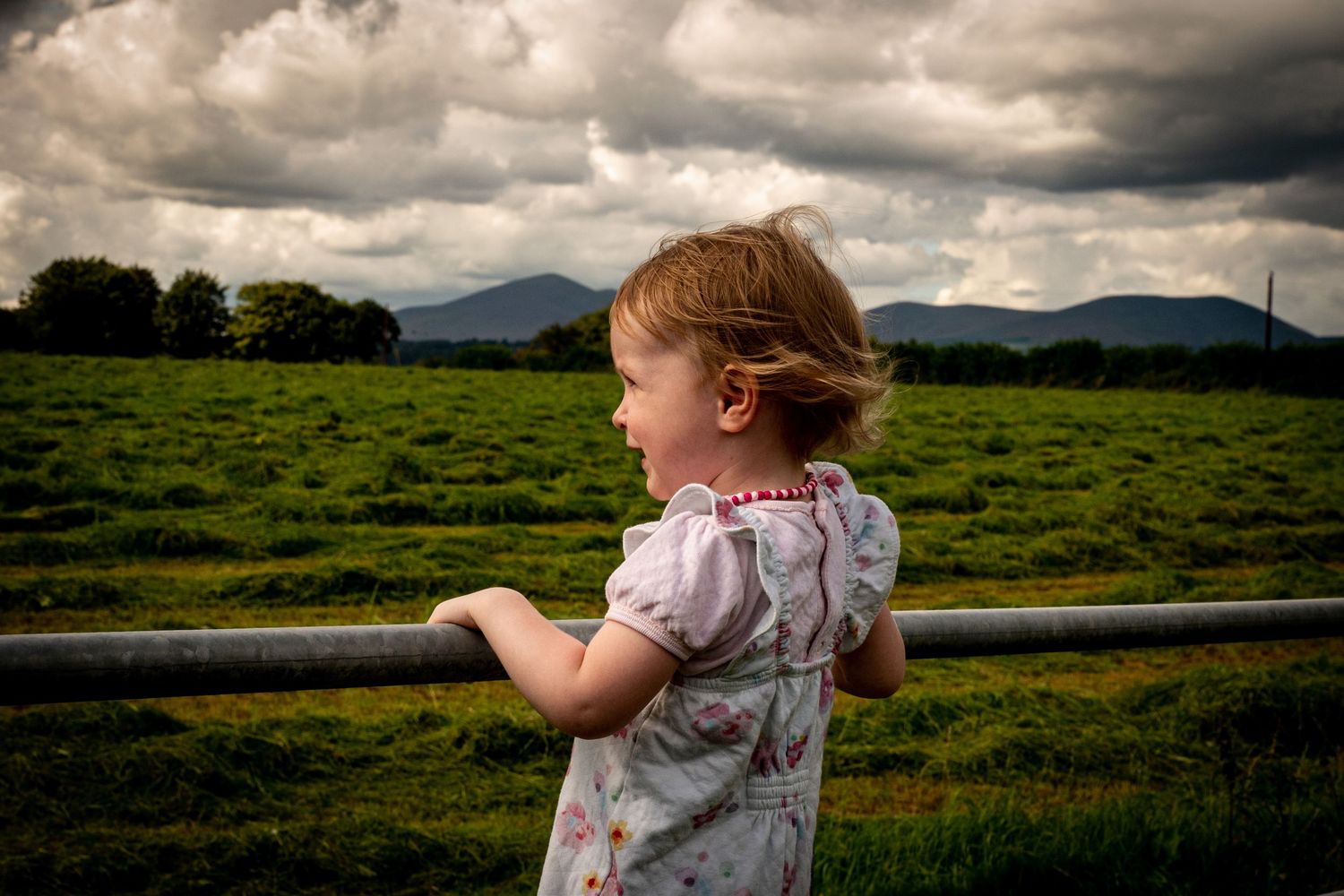 toddler family documentary photography standing on gate looking across field at mountains waterford