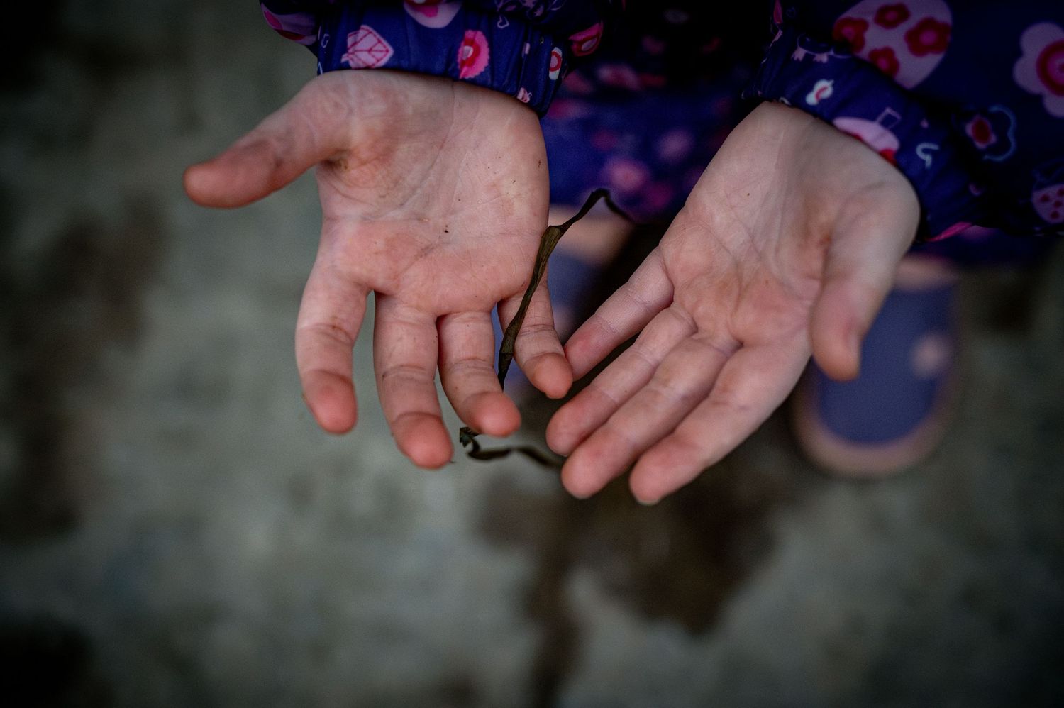 family documentary photography toddlers cold and dirty hands on the farm helping grandad  waterford