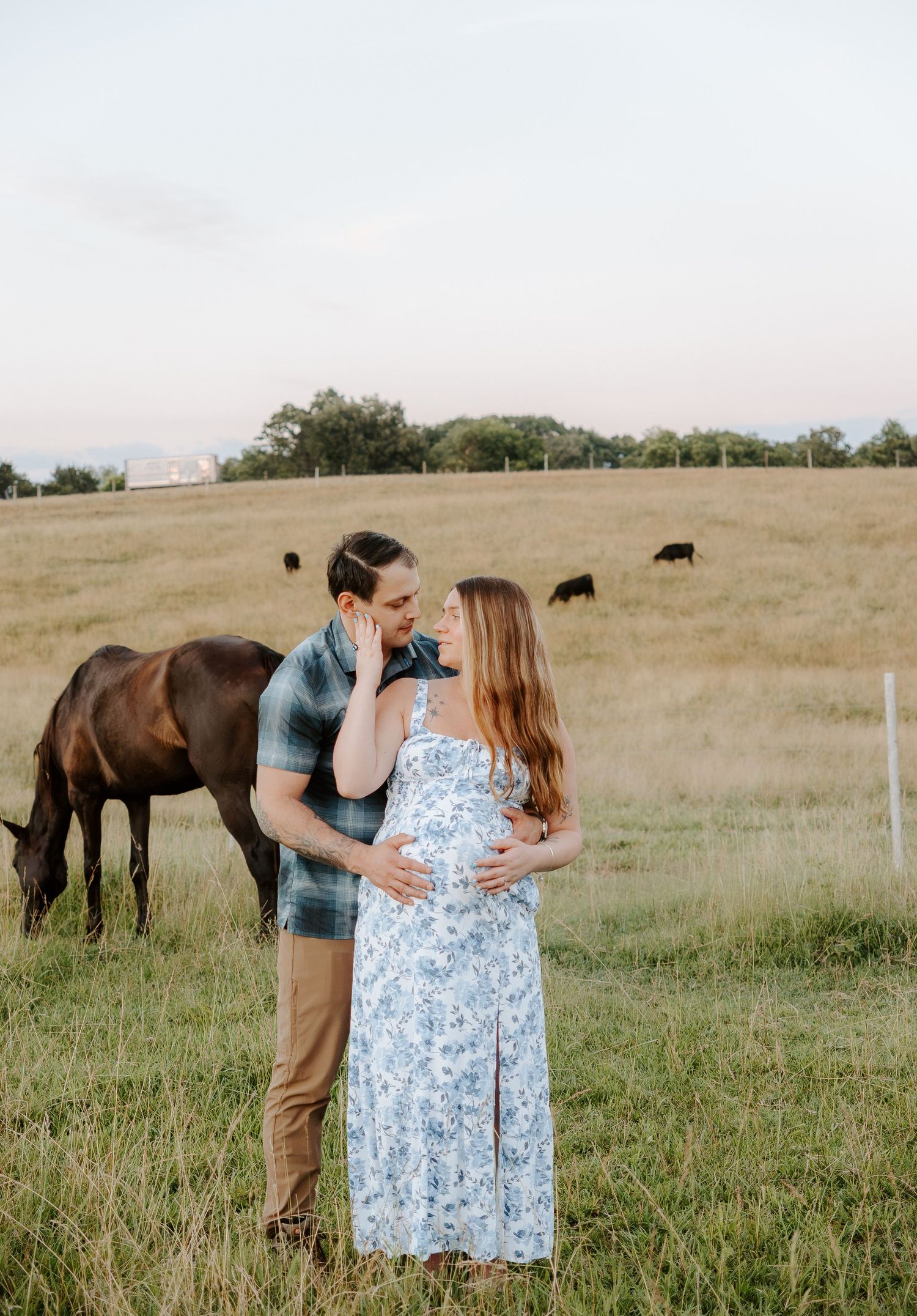 Couple maternity, with horses and cows