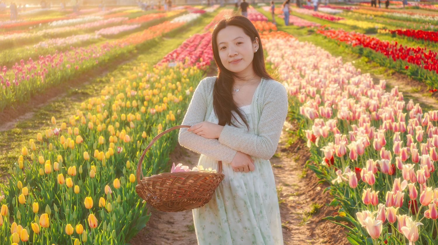 Young woman in floral dress holding basket in vibrant tulip field with pink, red, and yellow flowers in sunlight.