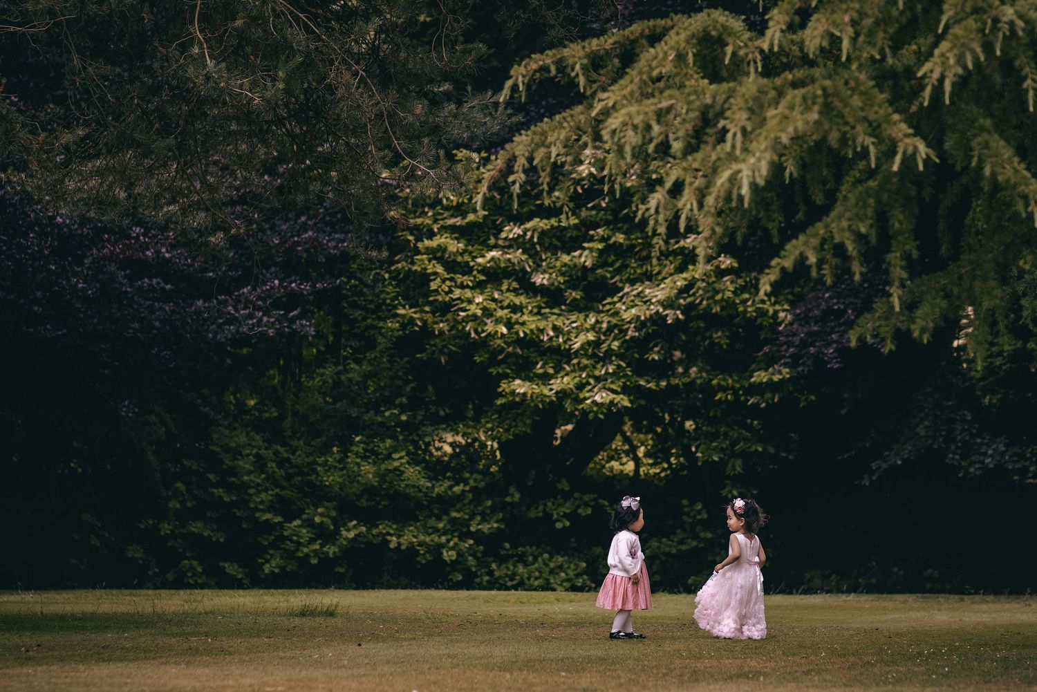 Two young flower girls in pink dresses stand on green lawn surrounded by lush trees.