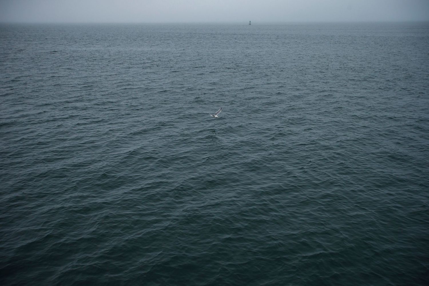 A vast overcast ocean seascape with calm dark waters and a distant ship on the horizon.