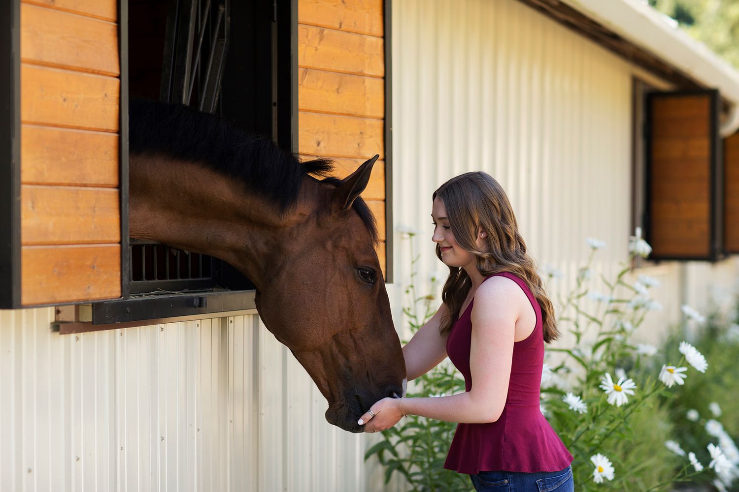 Young woman in red top feeding a brown horse leaning out of a stable window, surrounded by white flowers.