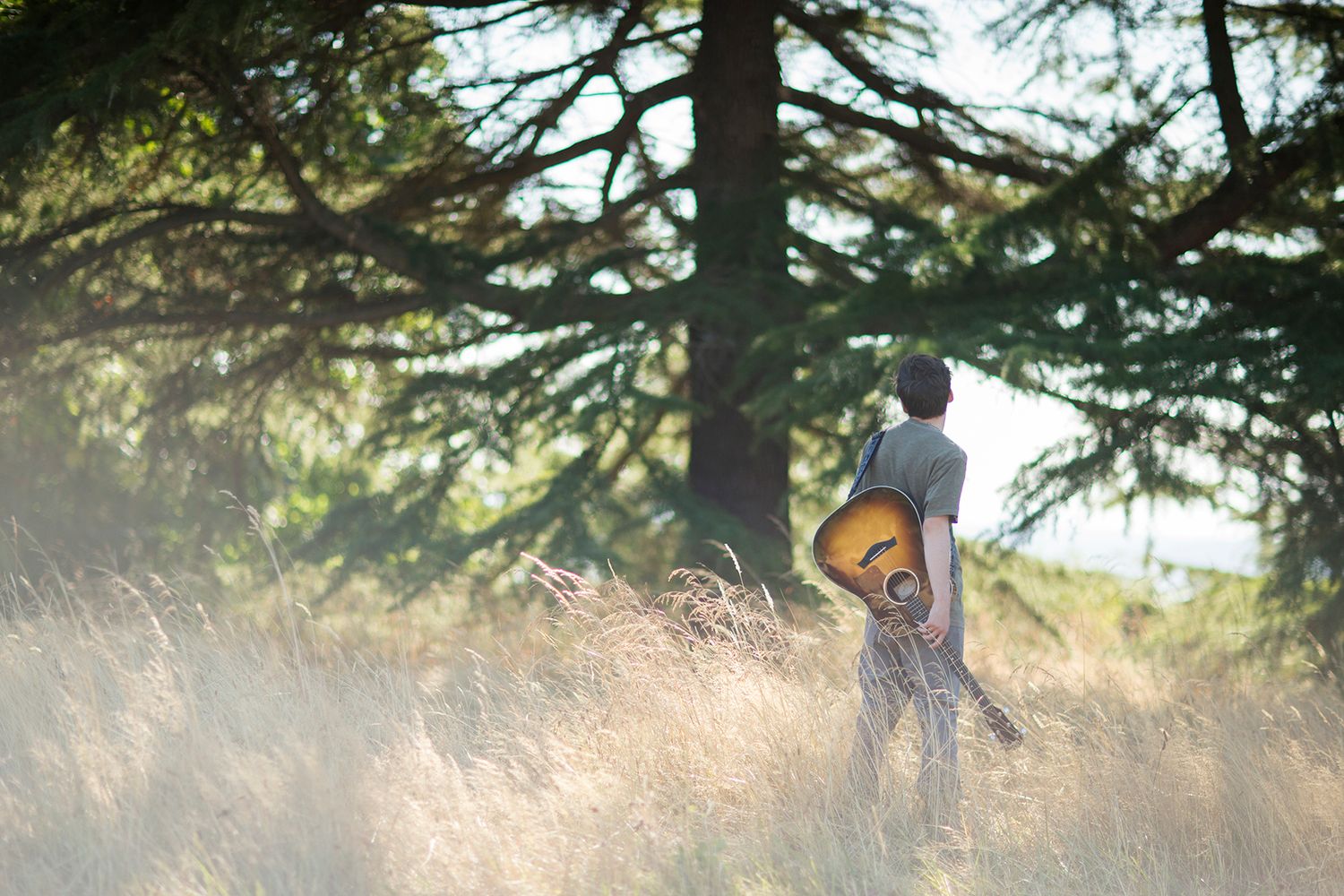 Man holding acoustic guitar standing in golden meadow beneath large evergreen trees in soft natural sunlight.