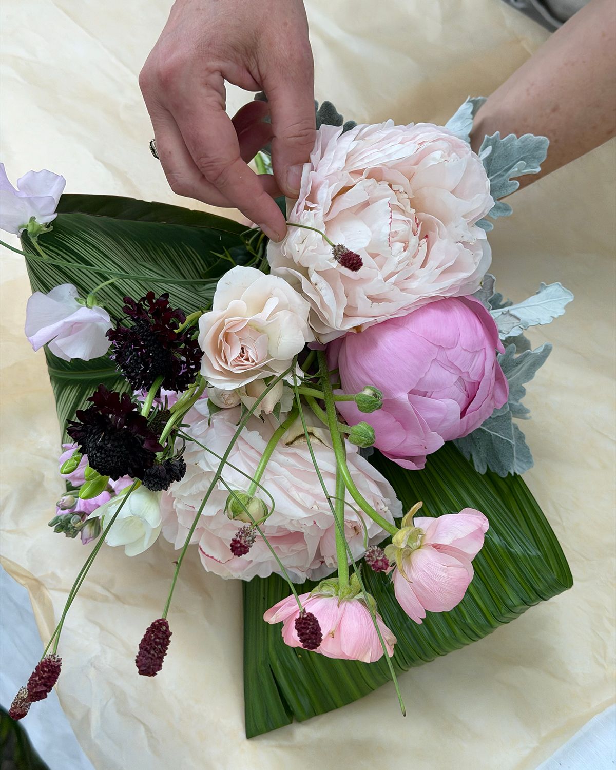 Hands arranging a floral bouquet with pink peonies, dark scabiosa, and dusty miller on banana leaves.