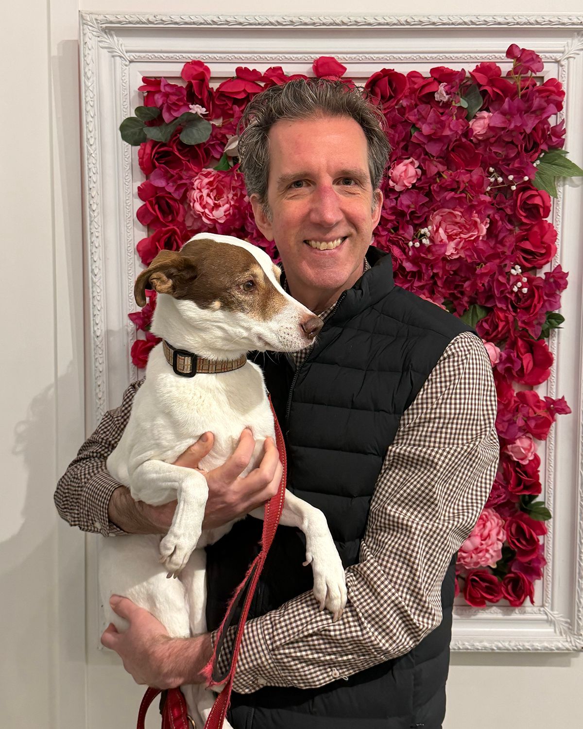 Smiling man holding a brown and white Jack Russell Terrier in front of a decorative red floral wall display.